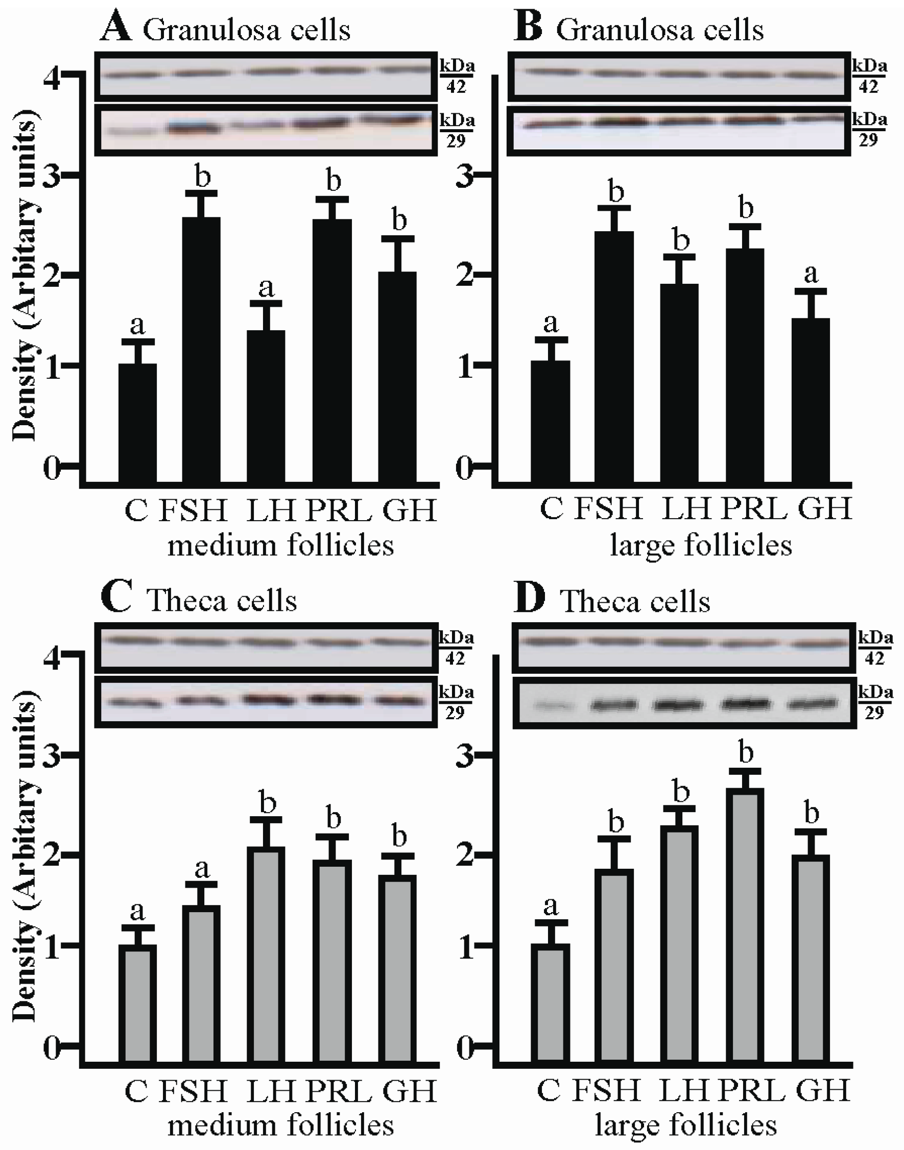 Ijms 19 00005 g004 Ijms 19 00005 g004