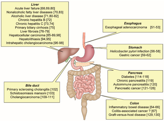 Is Osteopontin a Friend or Foe of Cell Apoptosis in