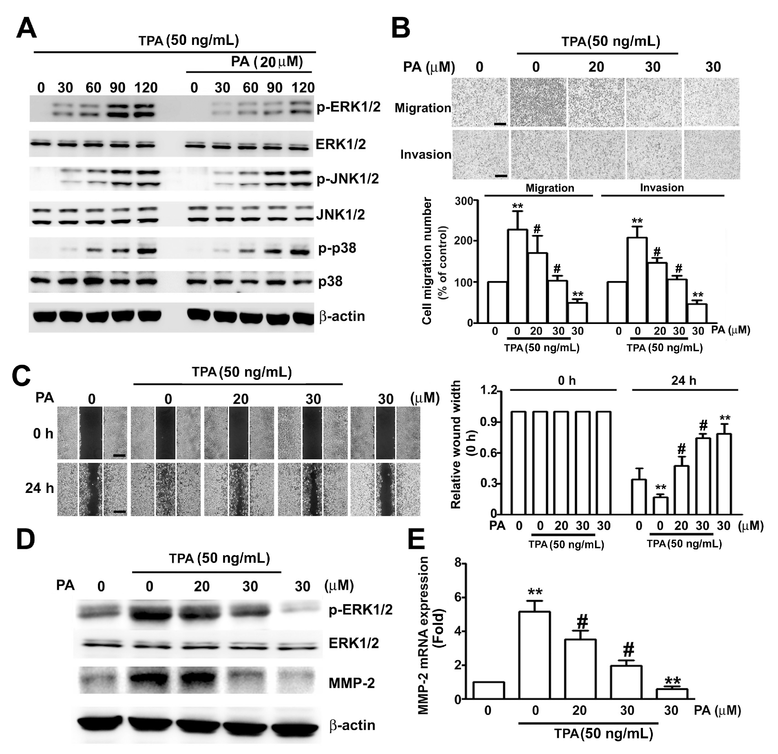 Ijms 19 00010 g006