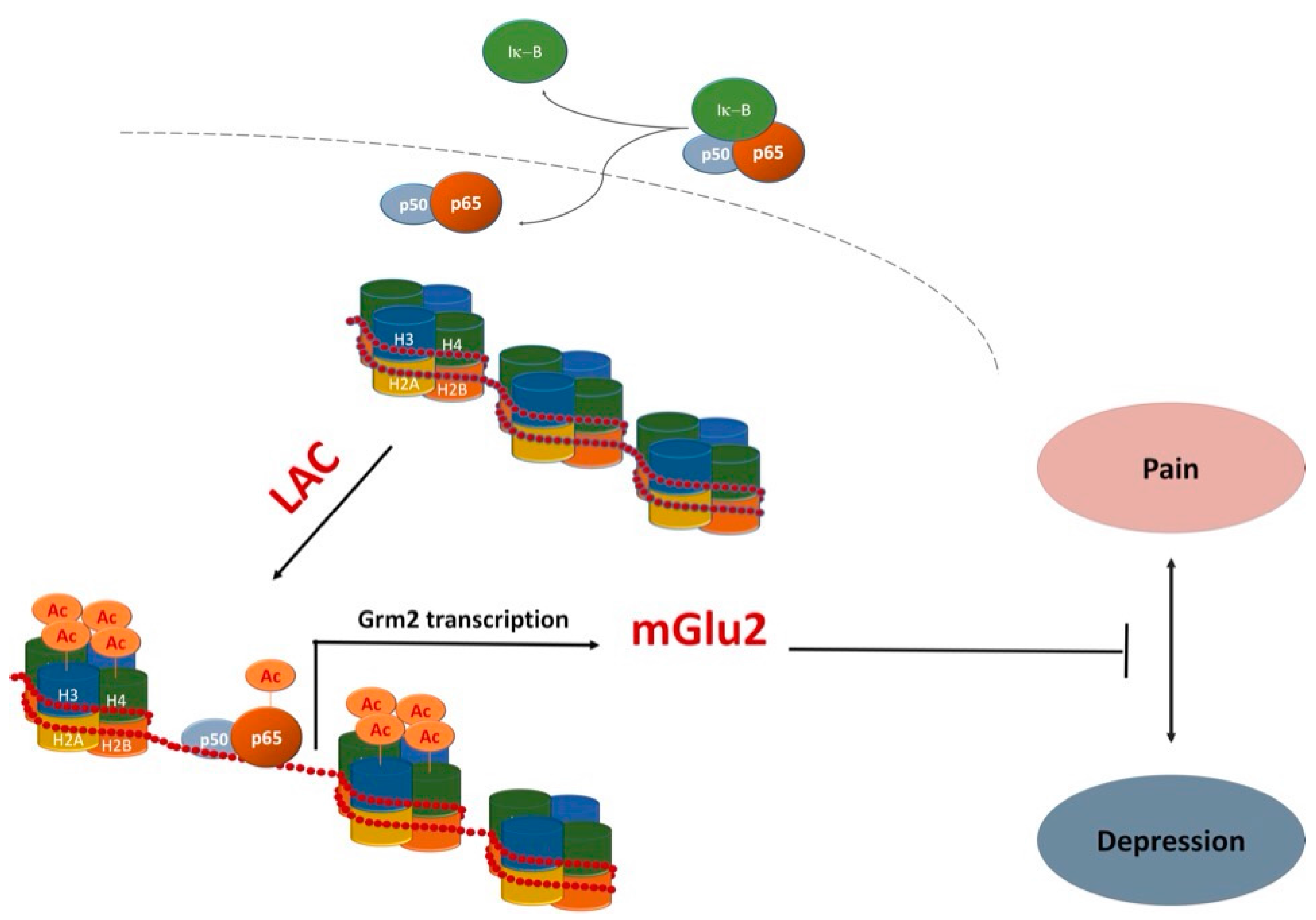 Ijms 19 00011 g002