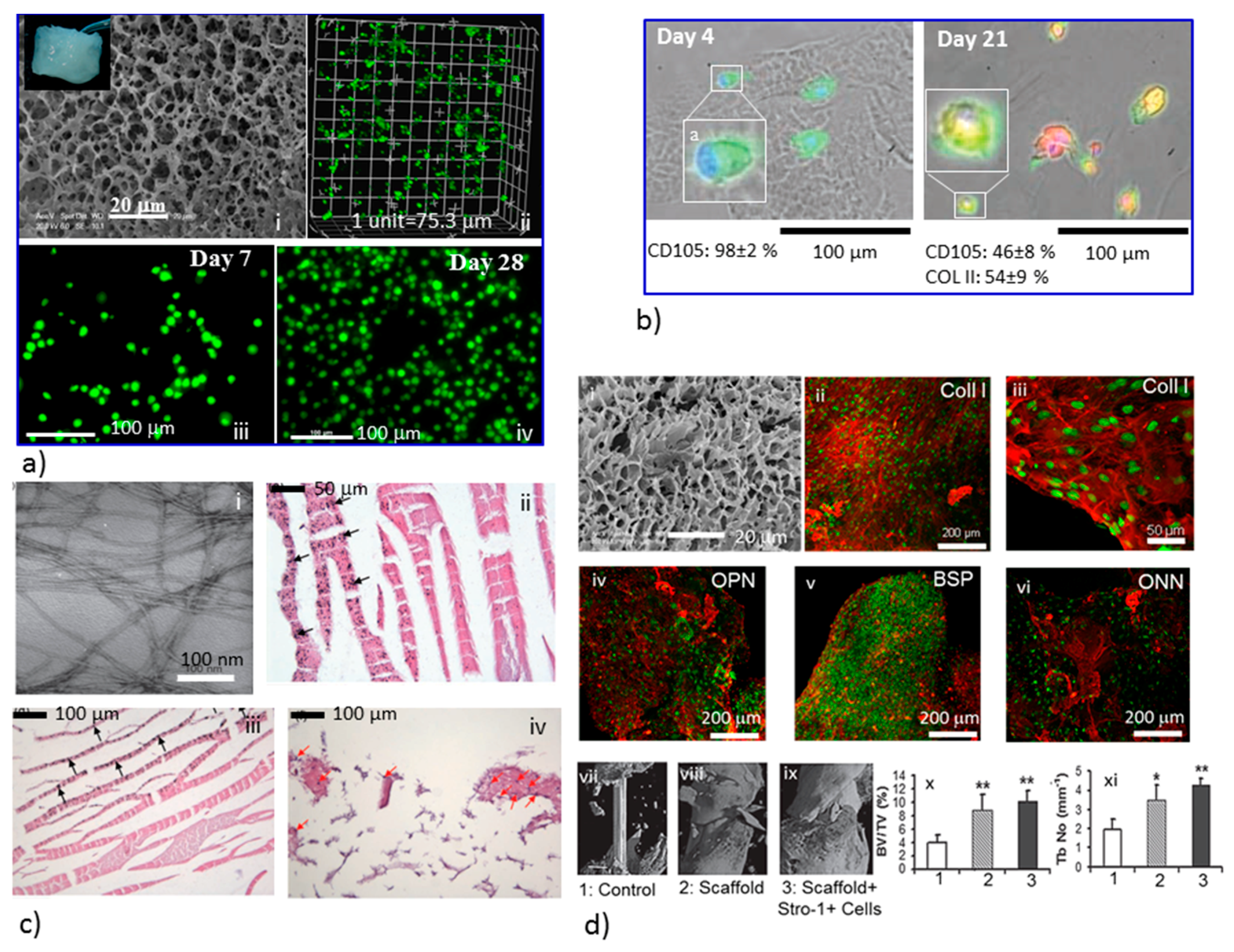 Designing Smart Biomaterials for Tissue Engineering