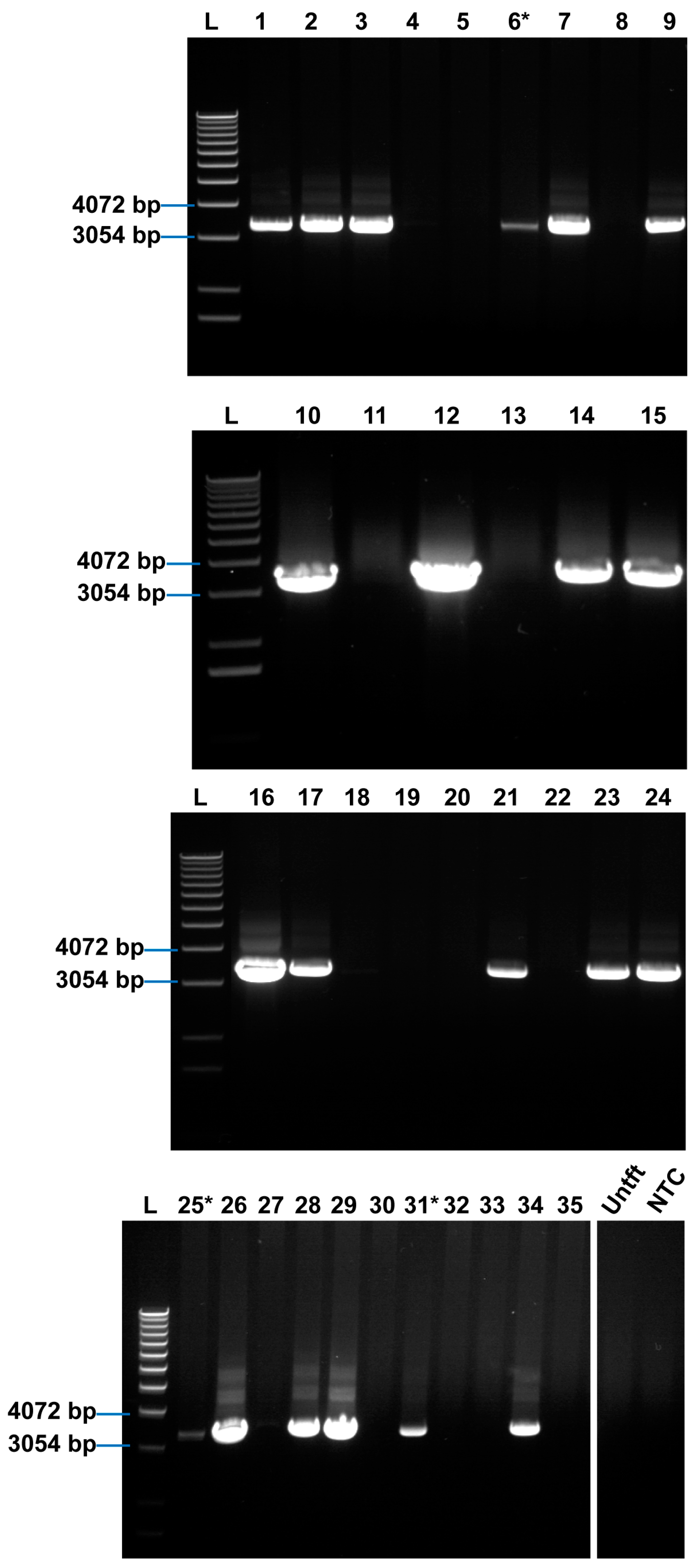 Ijms 19 00019 g0a1 550