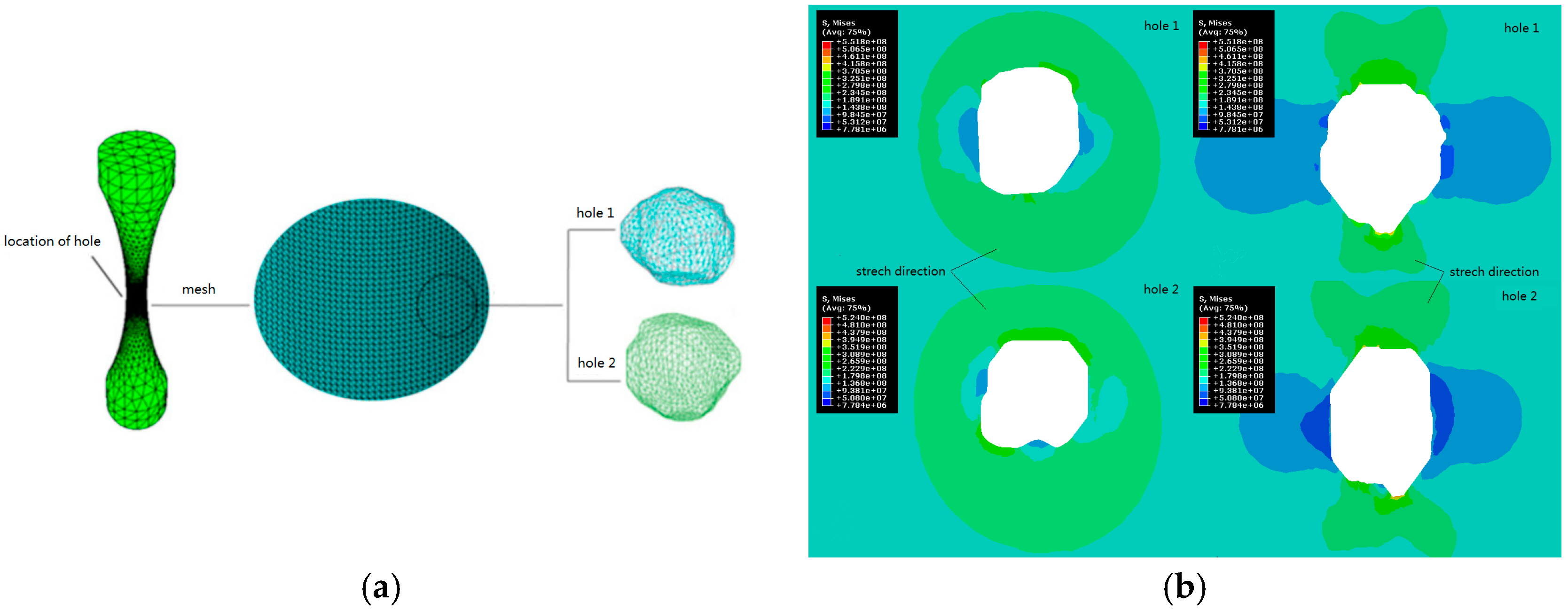 Ijms 19 00024 g004 Ijms 19 00024 g004