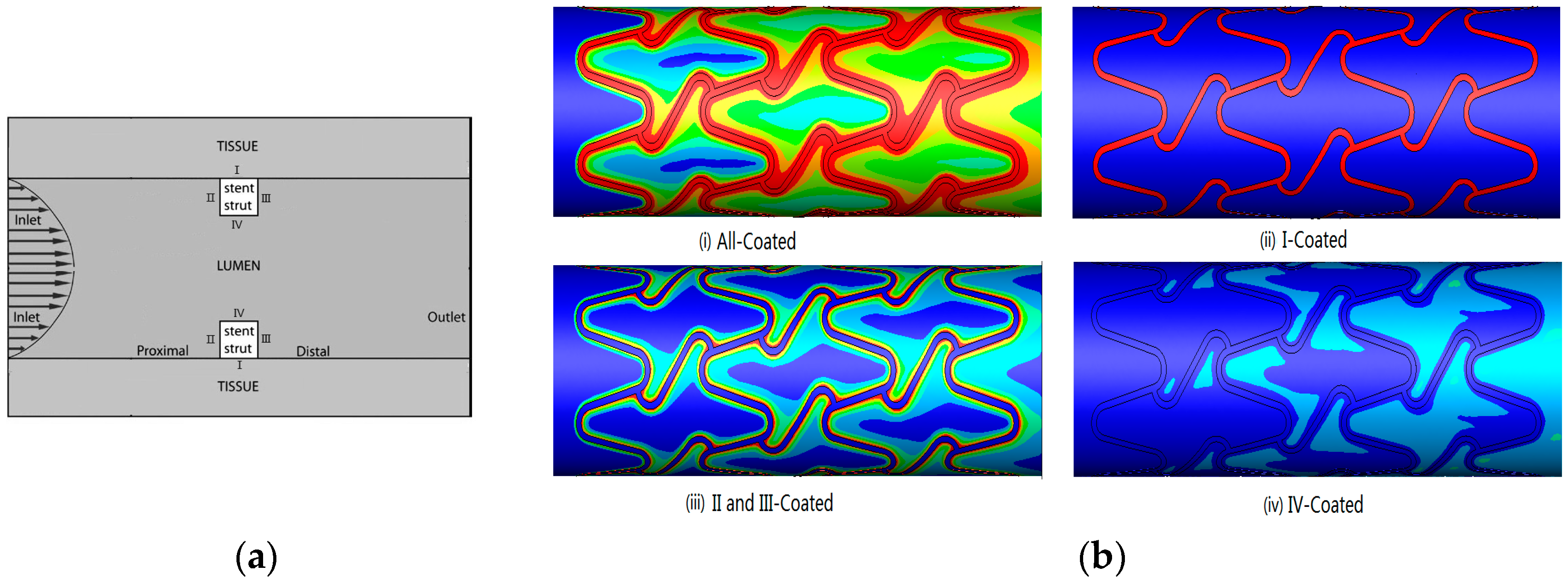 Ijms 19 00024 g007 Ijms 19 00024 g007