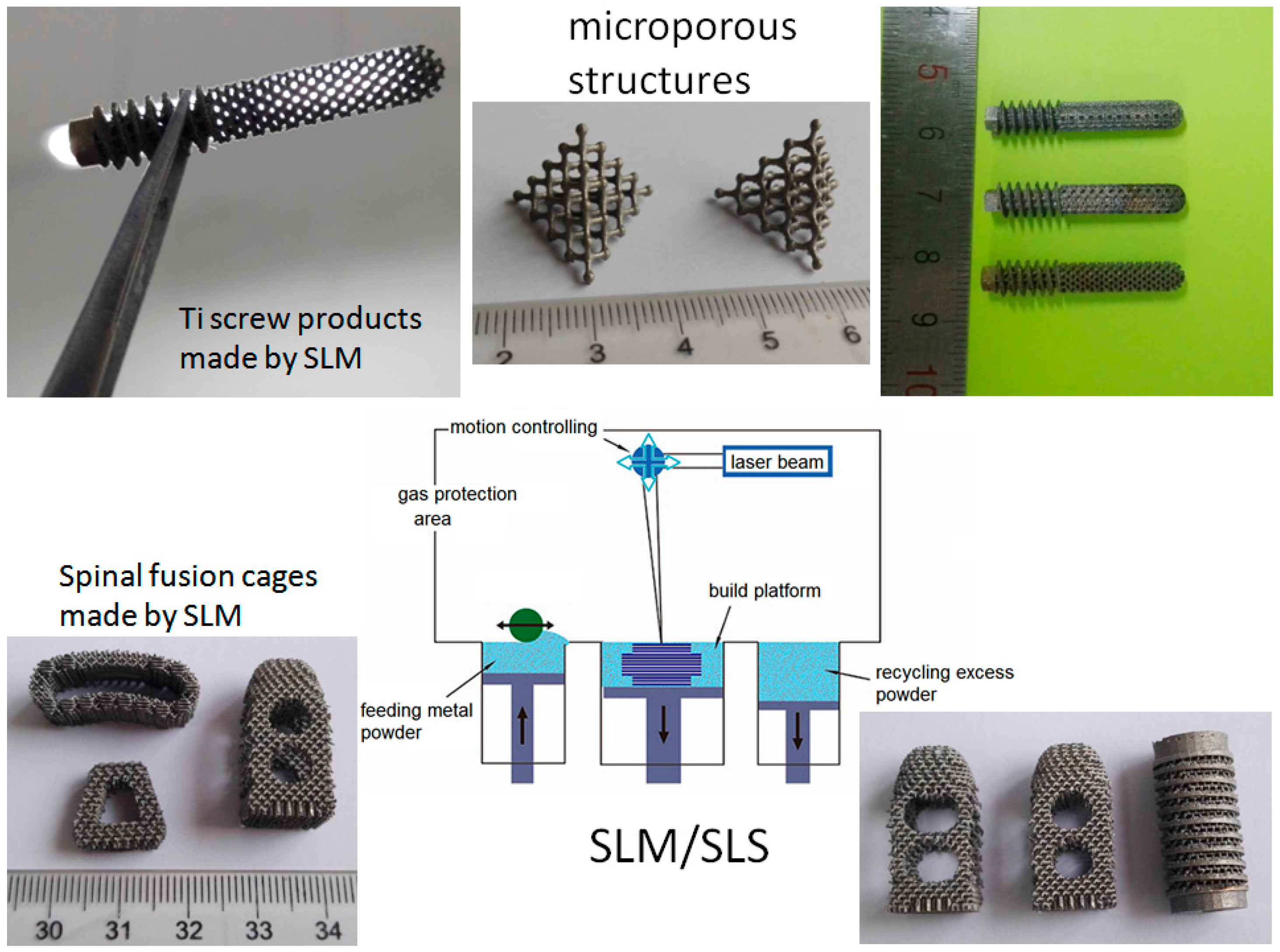 Ijms 19 00024 g008 Ijms 19 00024 g008