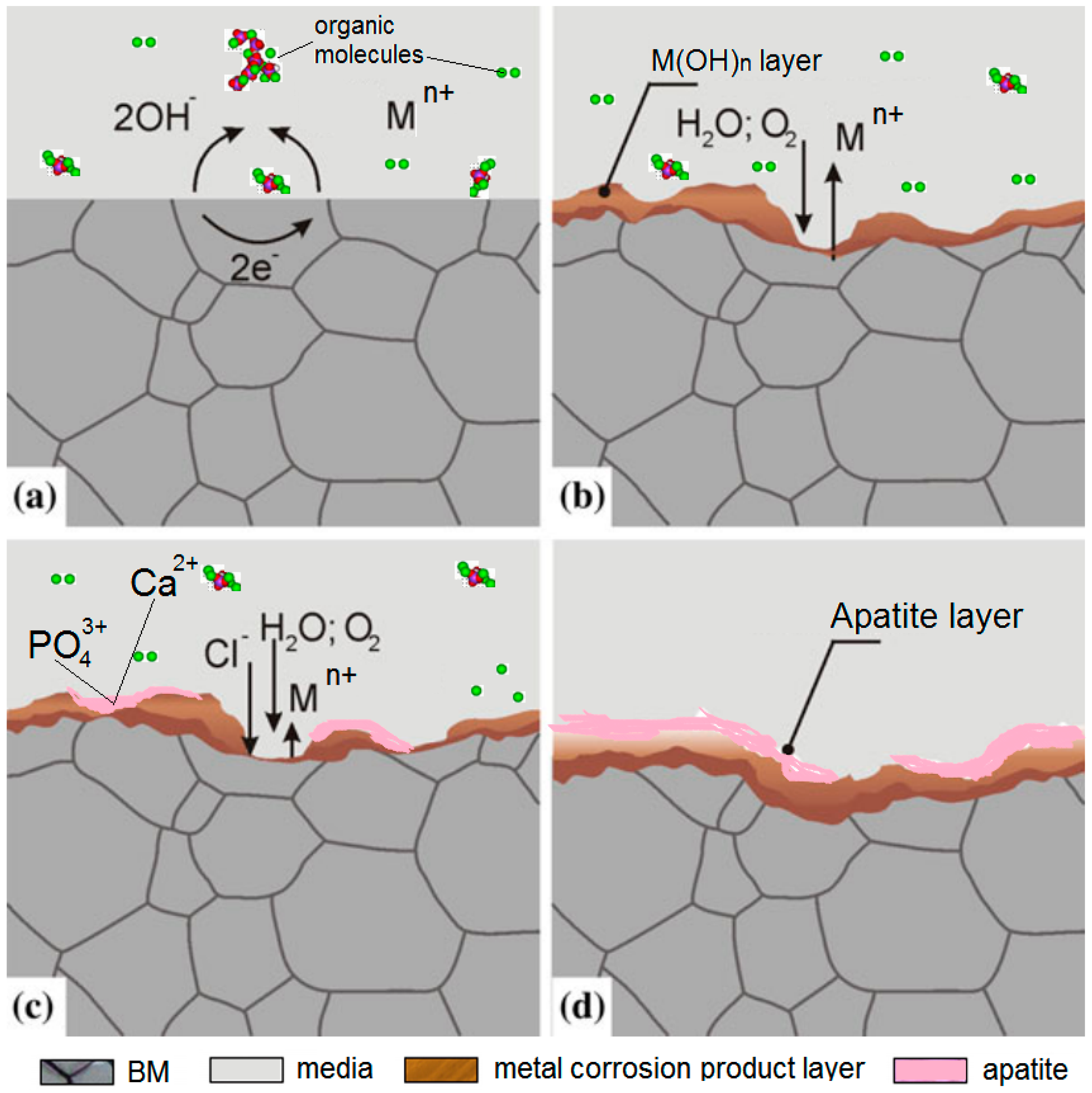 Ijms 19 00024 g010 Ijms 19 00024 g010