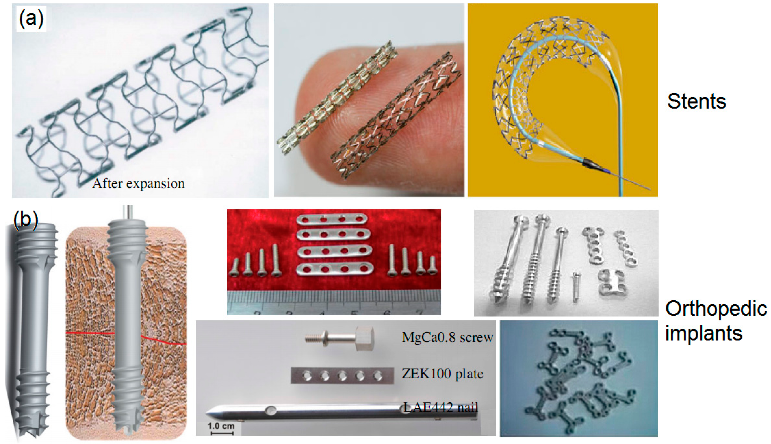 IJMS Free FullText BioFunctional Design, Application and Trends