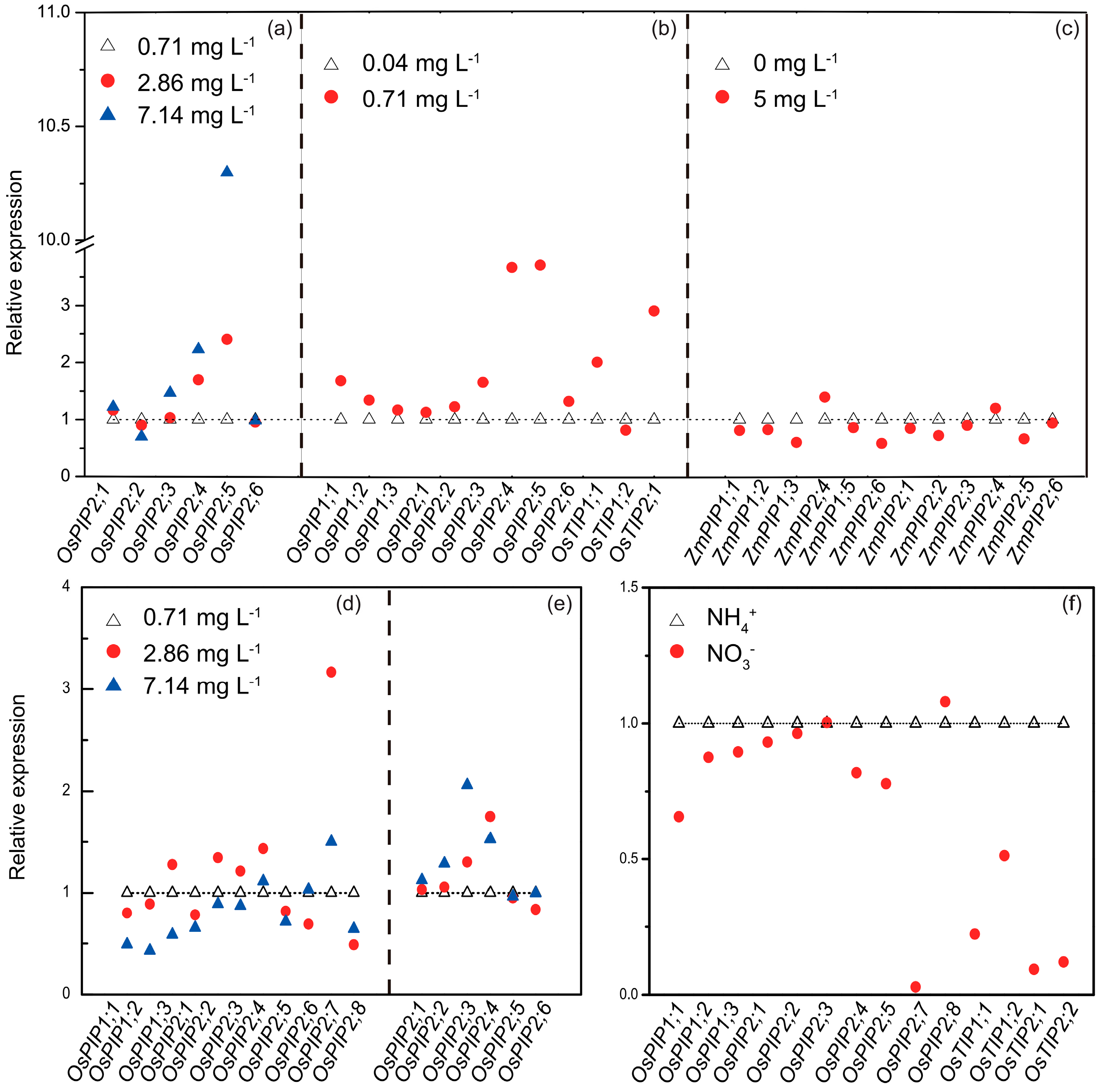 Ijms 19 00035 g005 Ijms 19 00035 g005