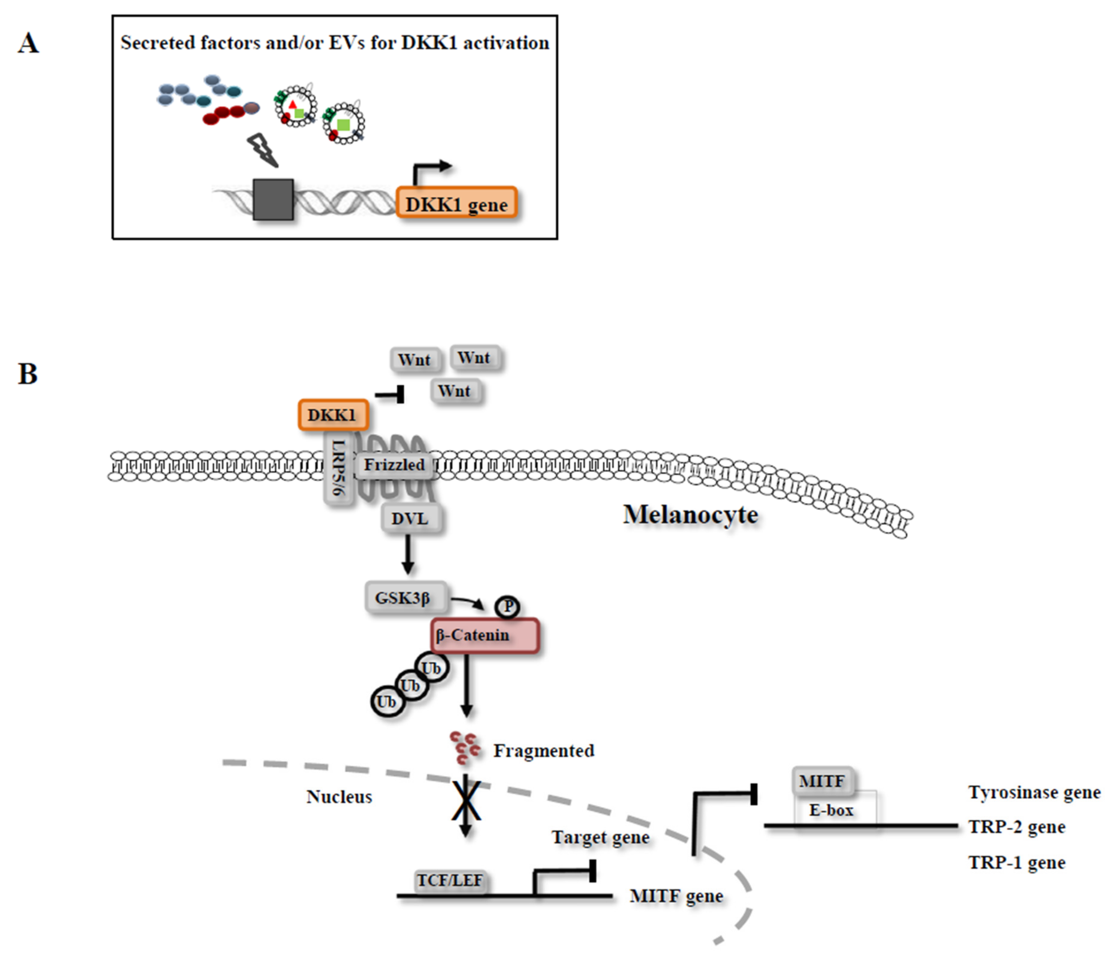 Ijms 19 00036 g003