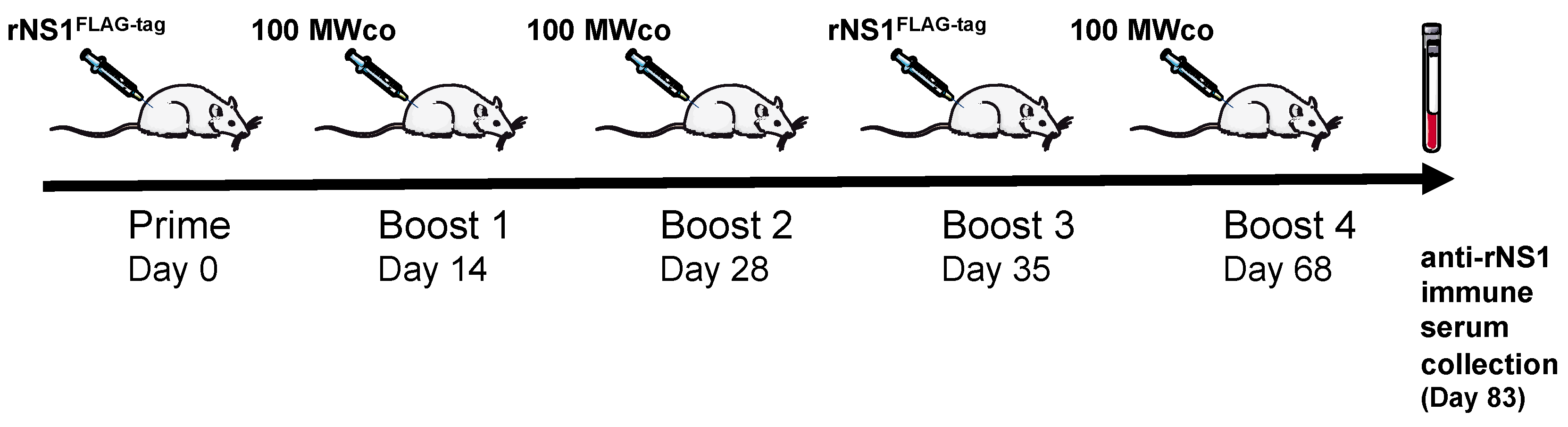 Ijms 19 00038 g004 Ijms 19 00038 g004