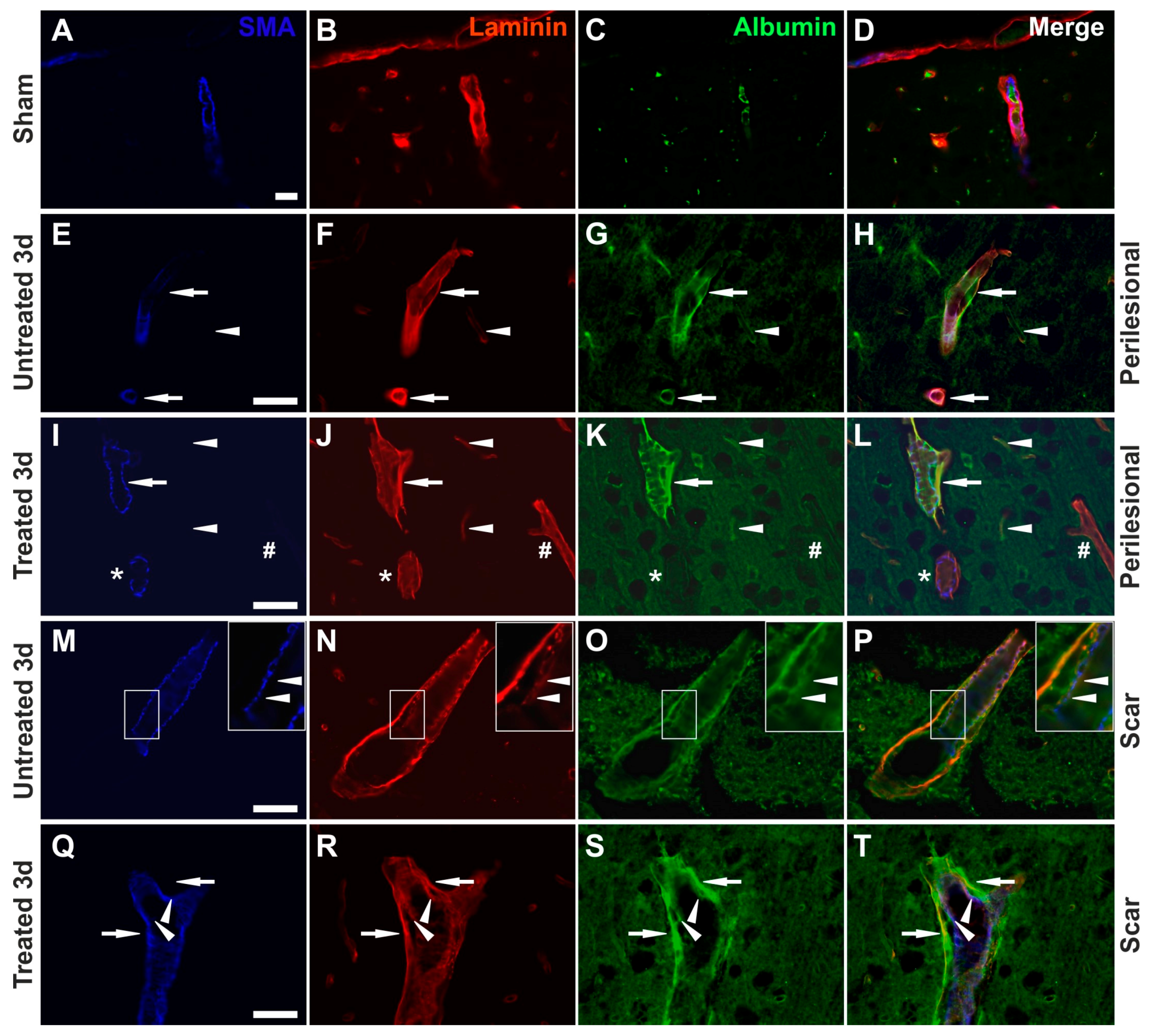 Ijms 19 00046 g005 550