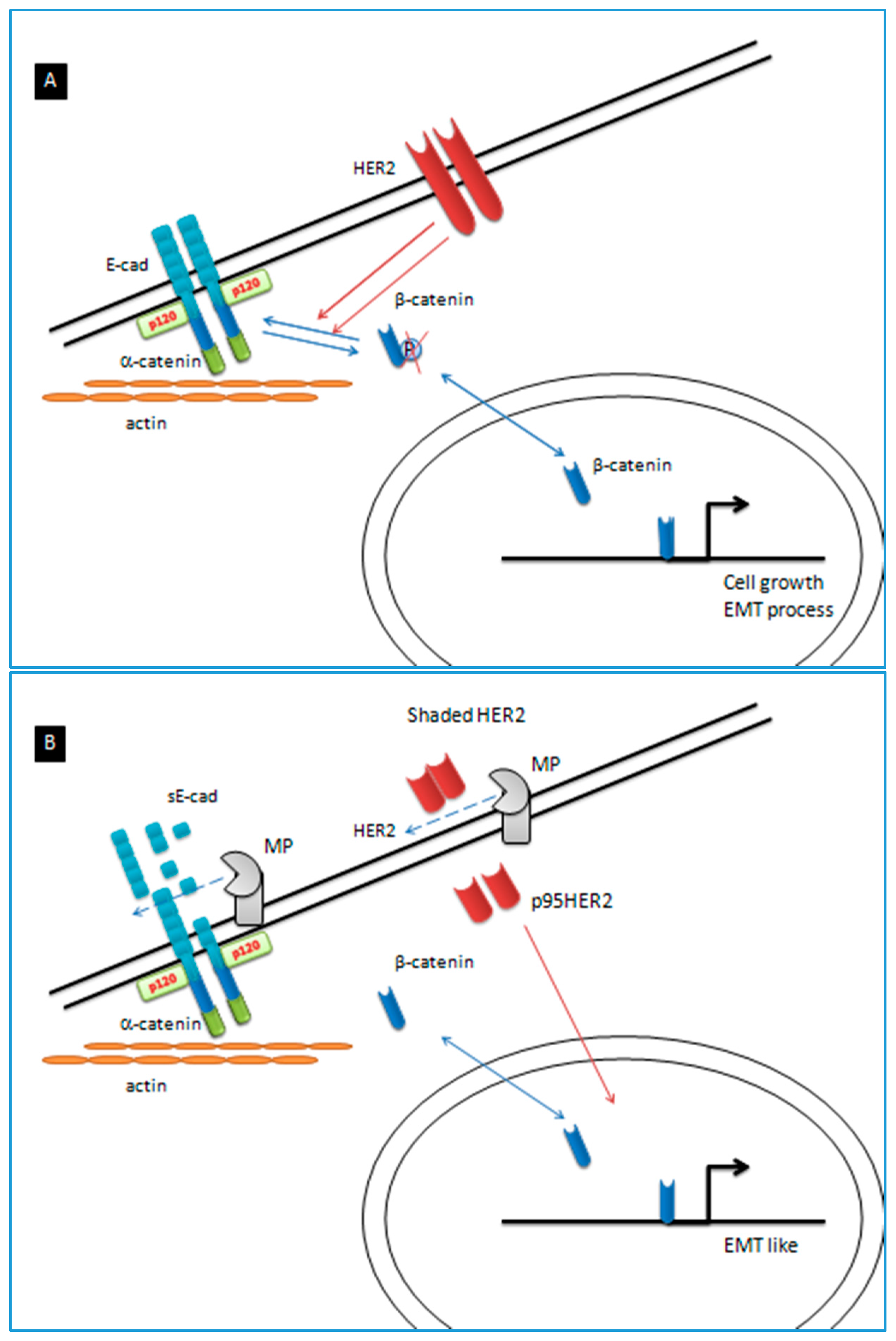 Ijms 19 00047 g001 Ijms 19 00047 g001