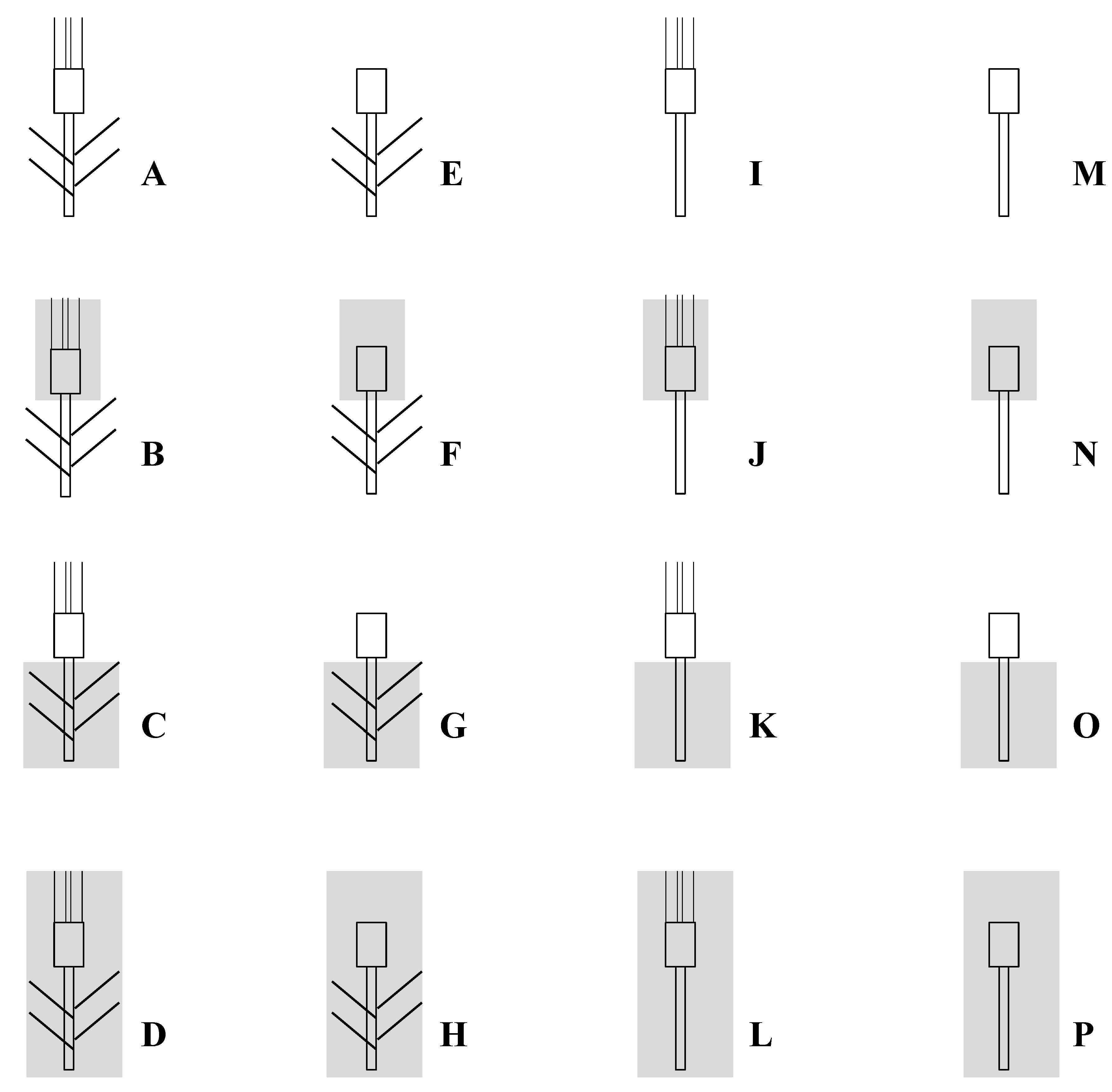 Ijms 19 00056 g004 550