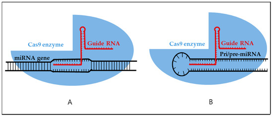 Development of Novel Therapeutic Agents by Inhibition of