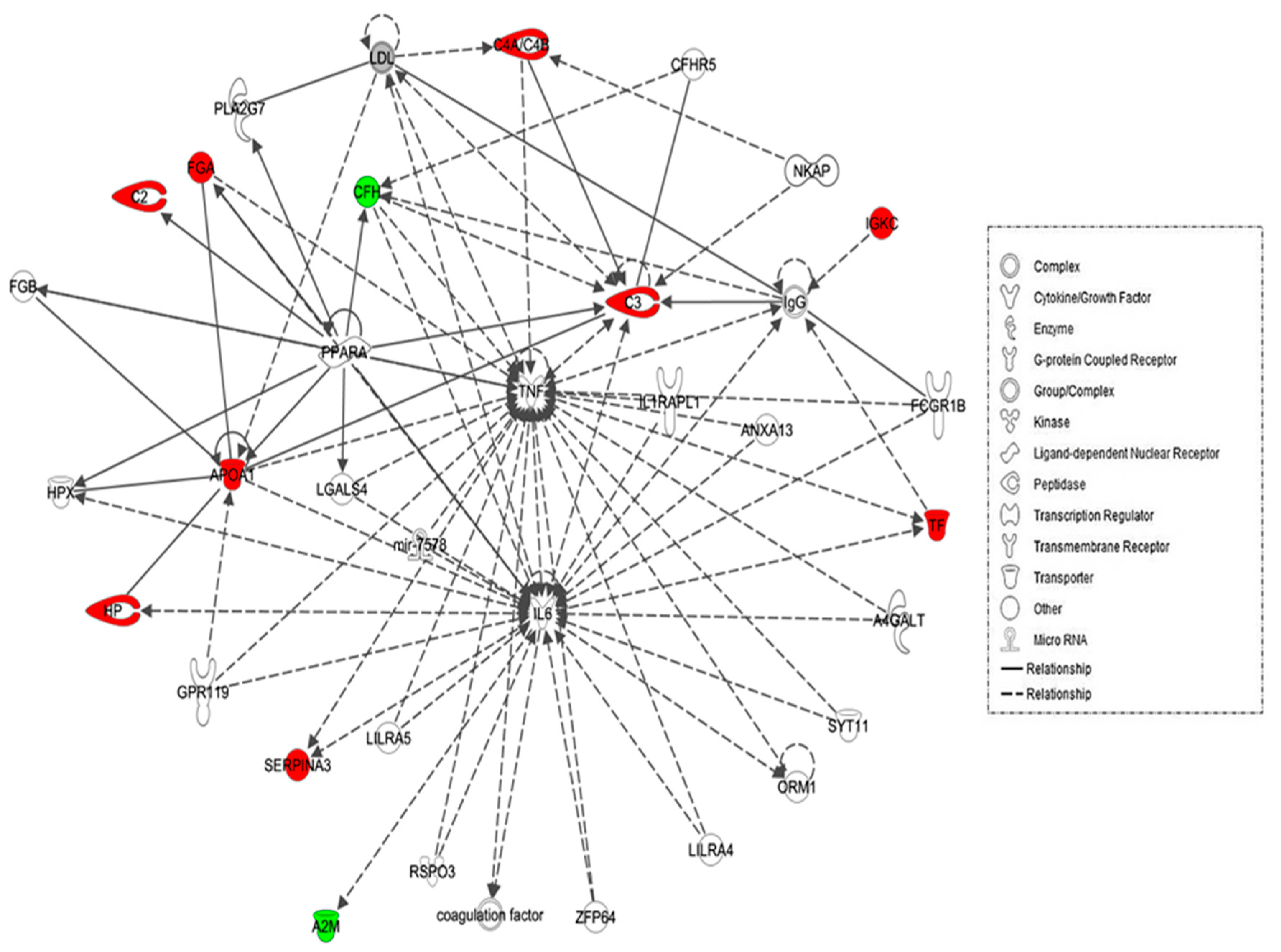 Ijms 19 00088 g003 Ijms 19 00088 g003