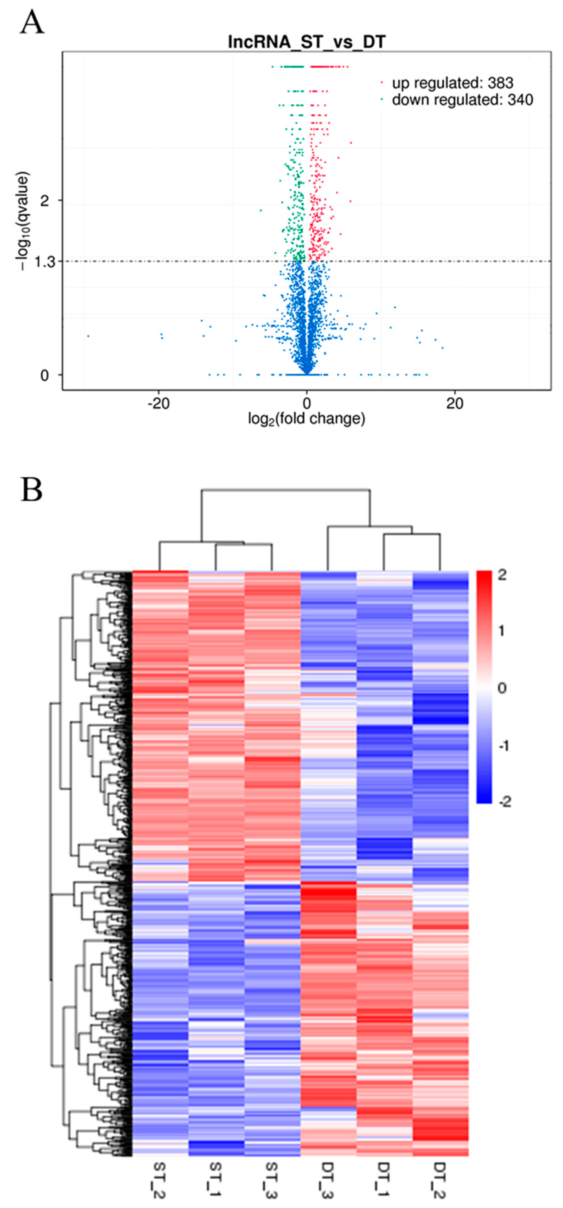 Ijms 19 00101 g003 Ijms 19 00101 g003