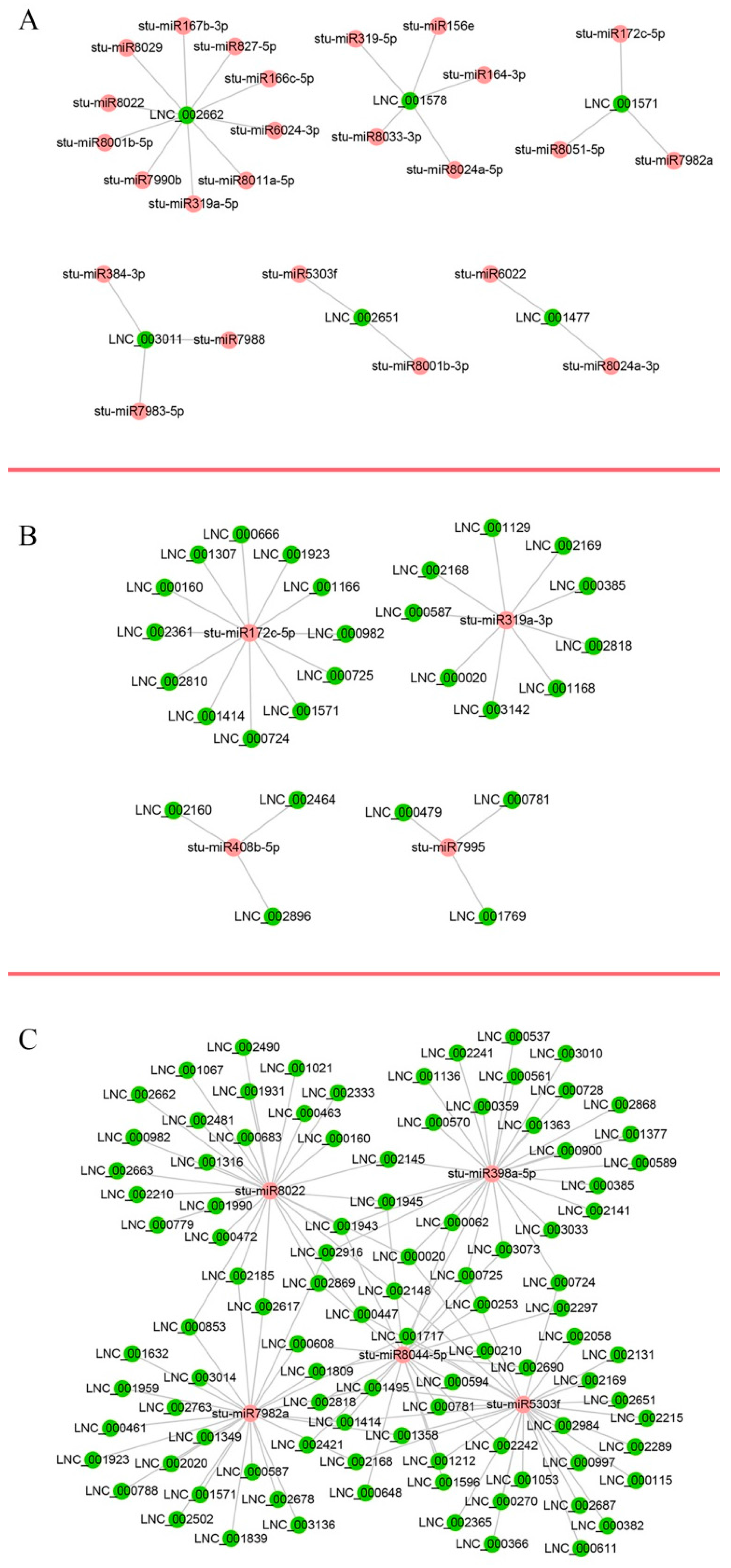 Ijms 19 00101 g005 Ijms 19 00101 g005