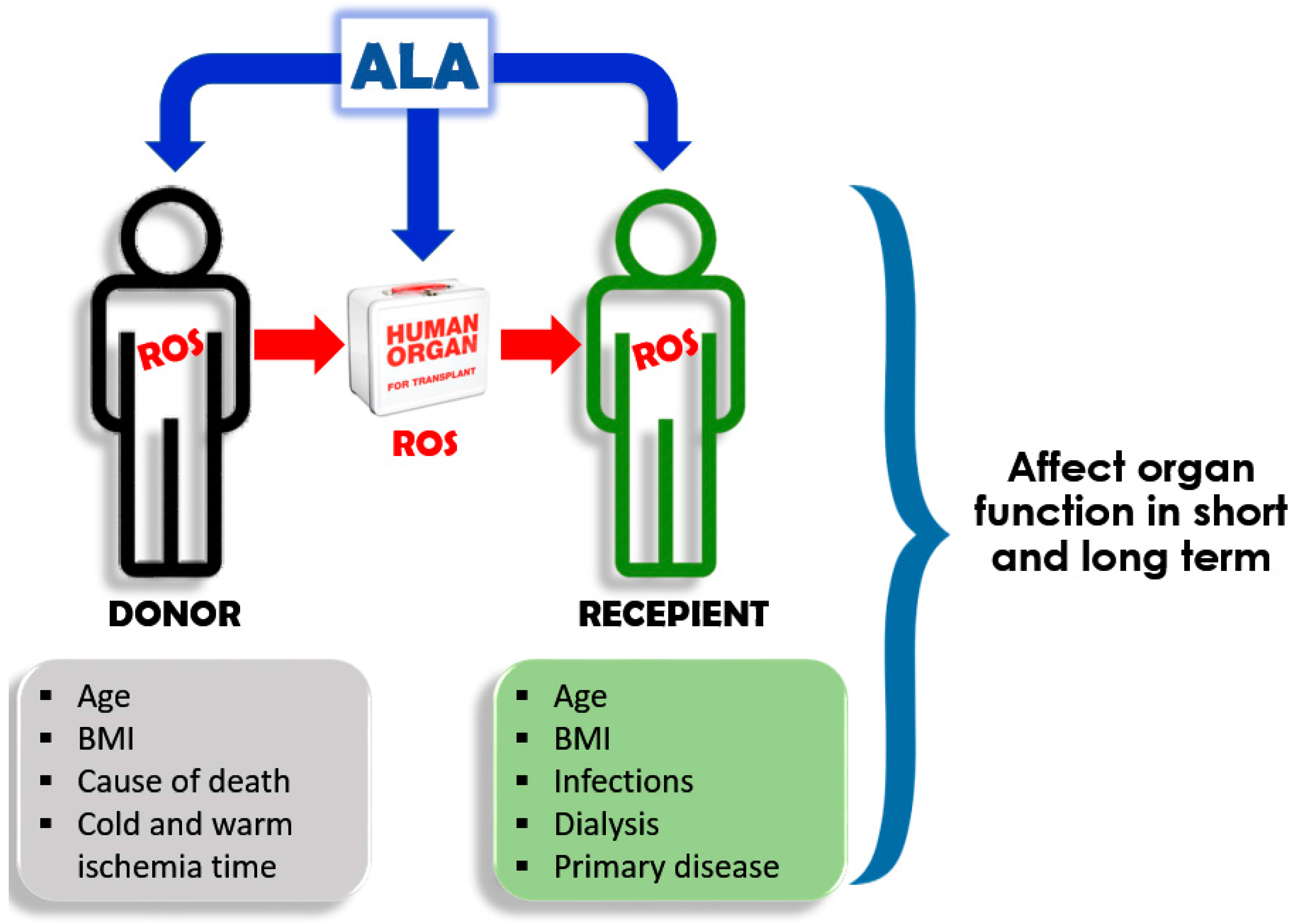 Ijms 19 00102 g002 Ijms 19 00102 g002