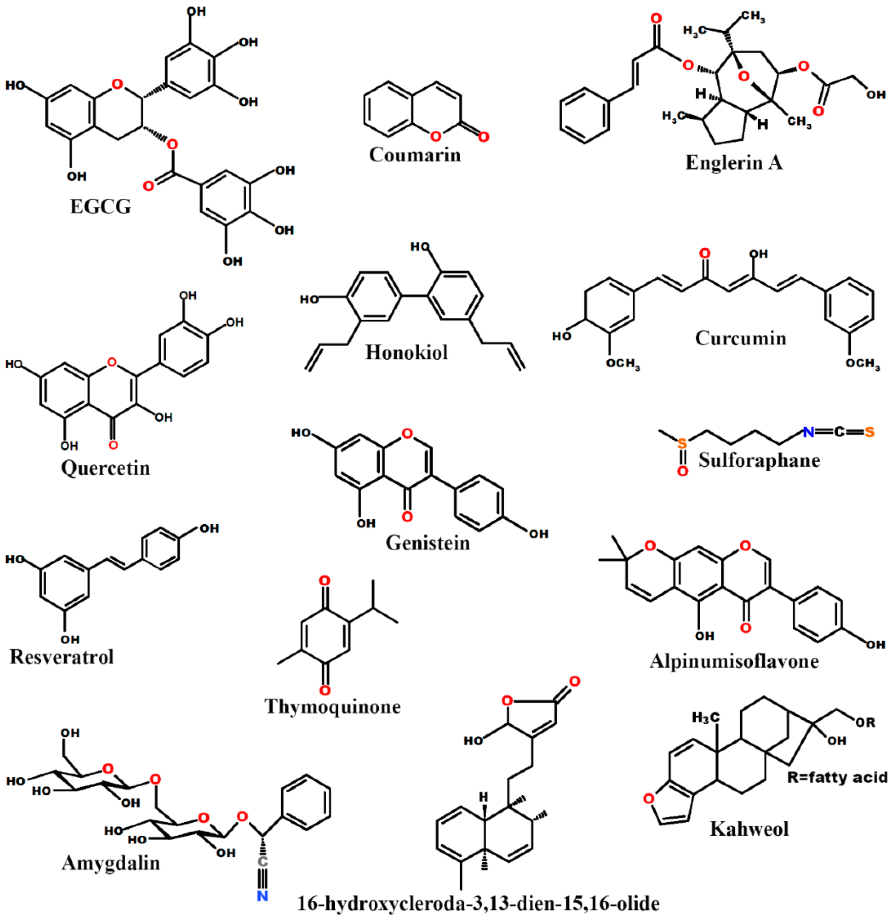 Ijms 19 00107 g001 Ijms 19 00107 g001