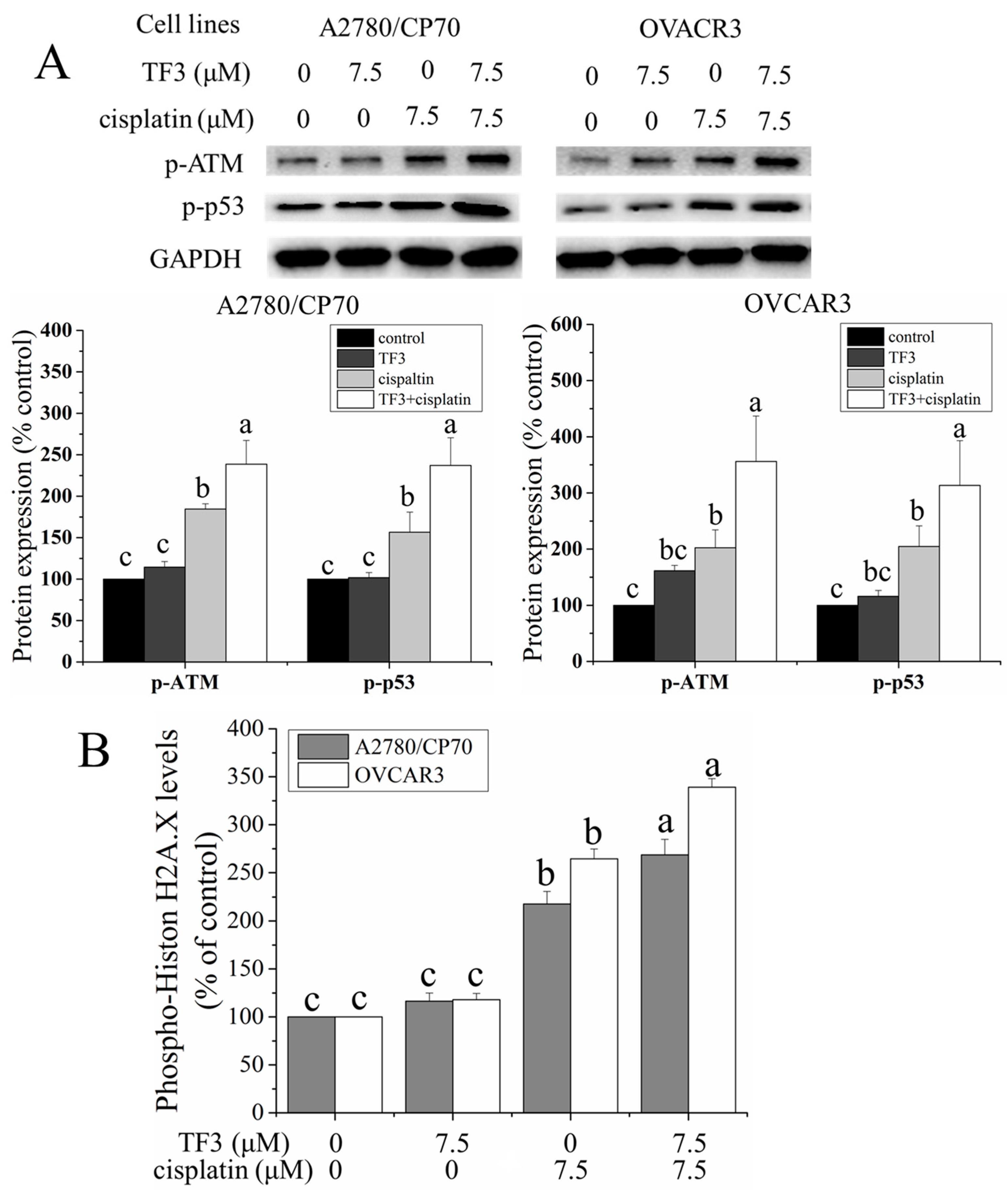 Ijms 19 00117 g003 550