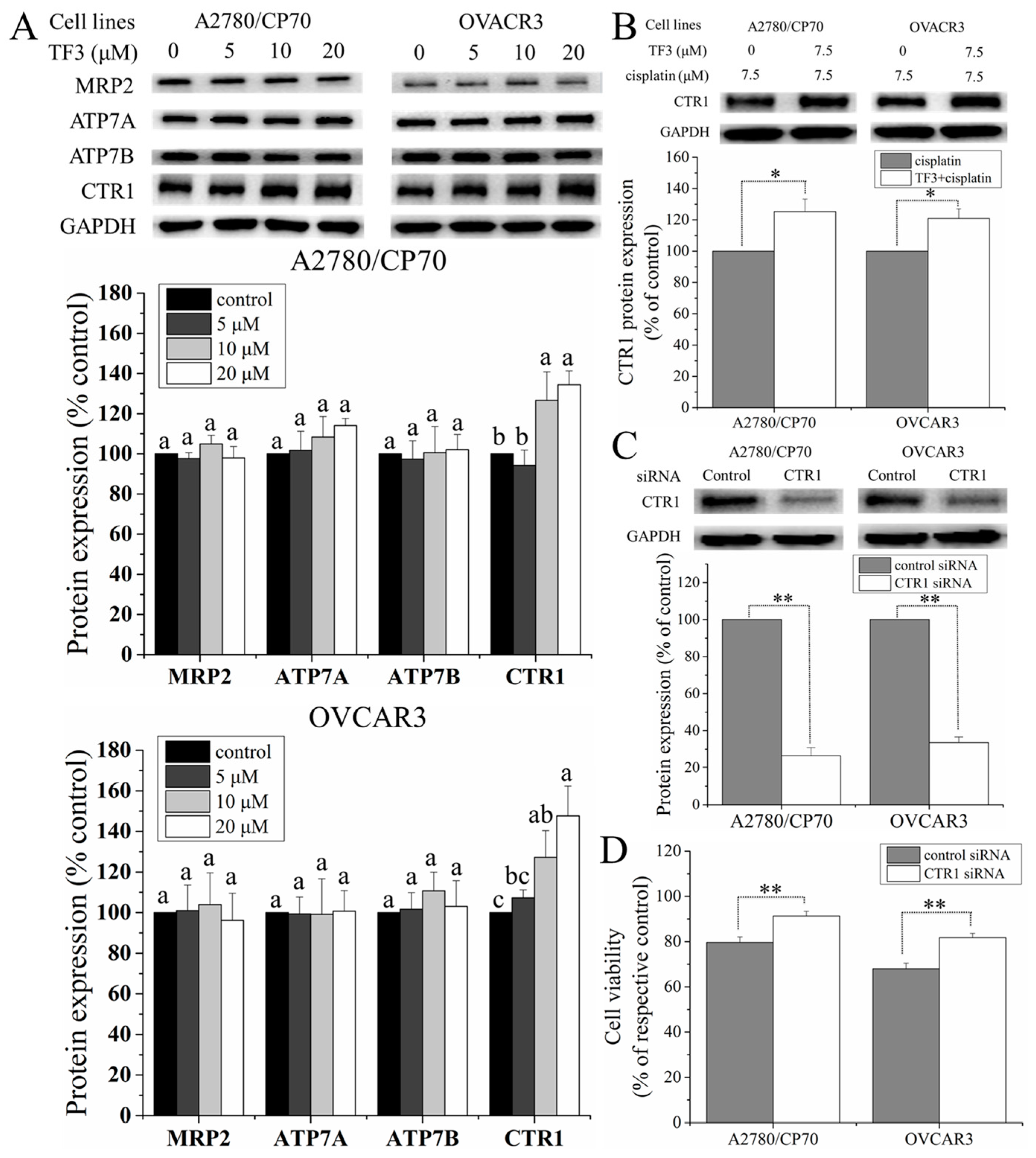 Ijms 19 00117 g005 550