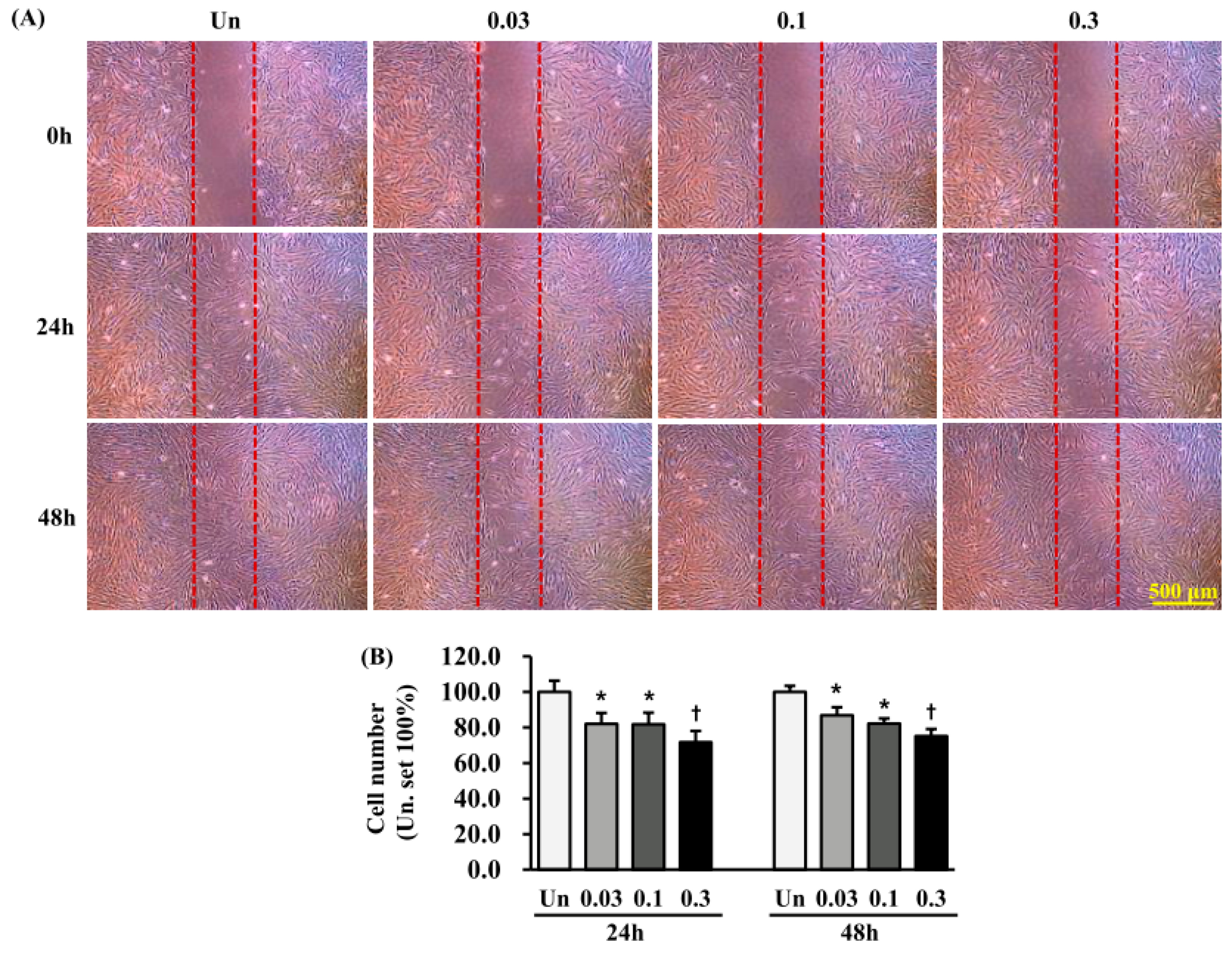 Ijms 19 00124 g007 550