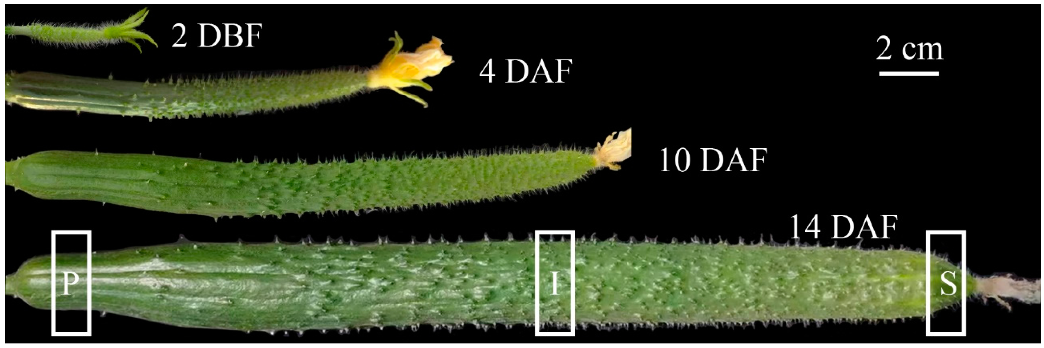 Ijms 19 00135 g001 550