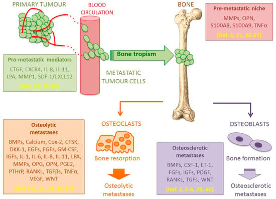 Ijms Special Issue Bone Metastasis Pathophysiology And Molecular
