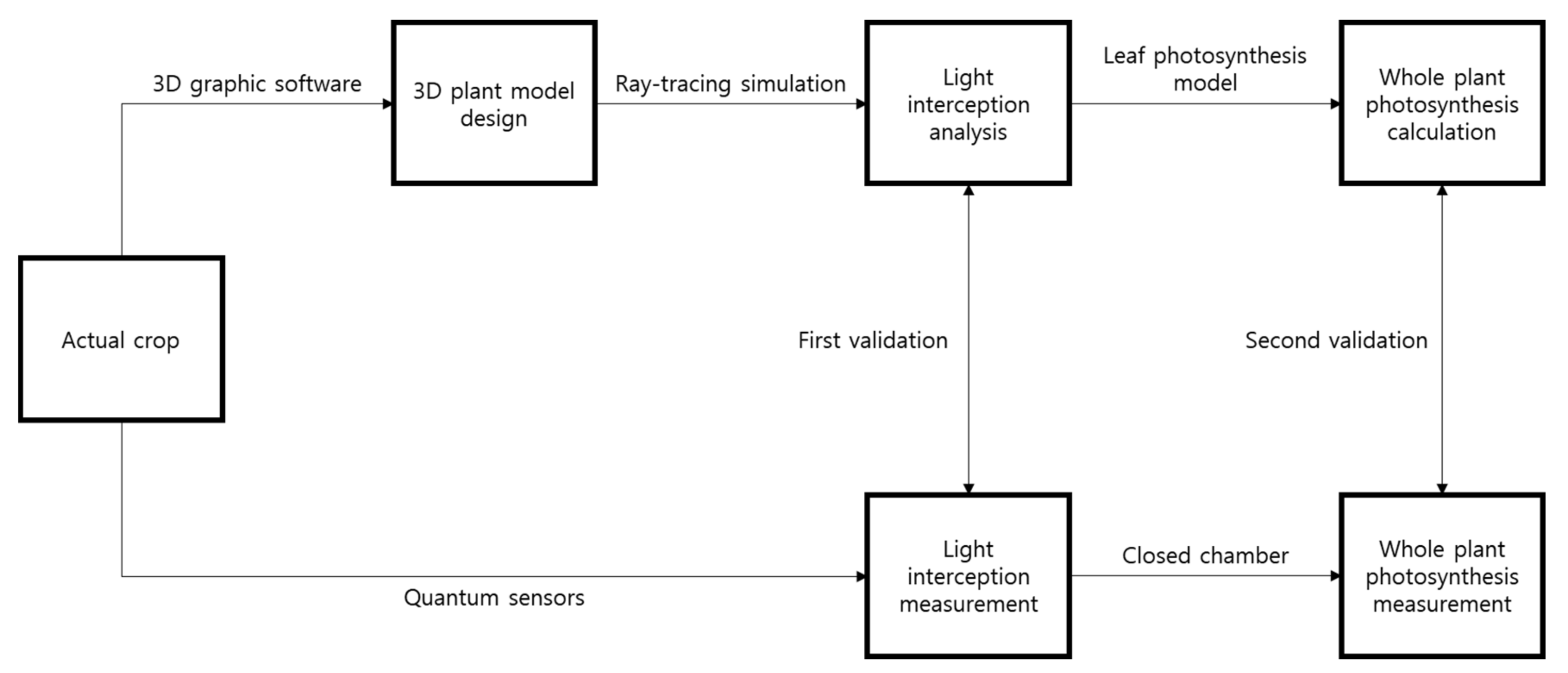Ijms Free Full Text Estimation Of Whole Plant Photosynthetic Rate Of Irwin Mango Under Artificial And Natural Lights Using A Three Dimensional Plant Model And Ray Tracing Html Ijms Free Full Text Estimation Of Whole Plant Photosynthetic Rate Of Irwin Mango Under Artificial And Natural Lights Using A Three Dimensional Plant Model And Ray Tracing Html