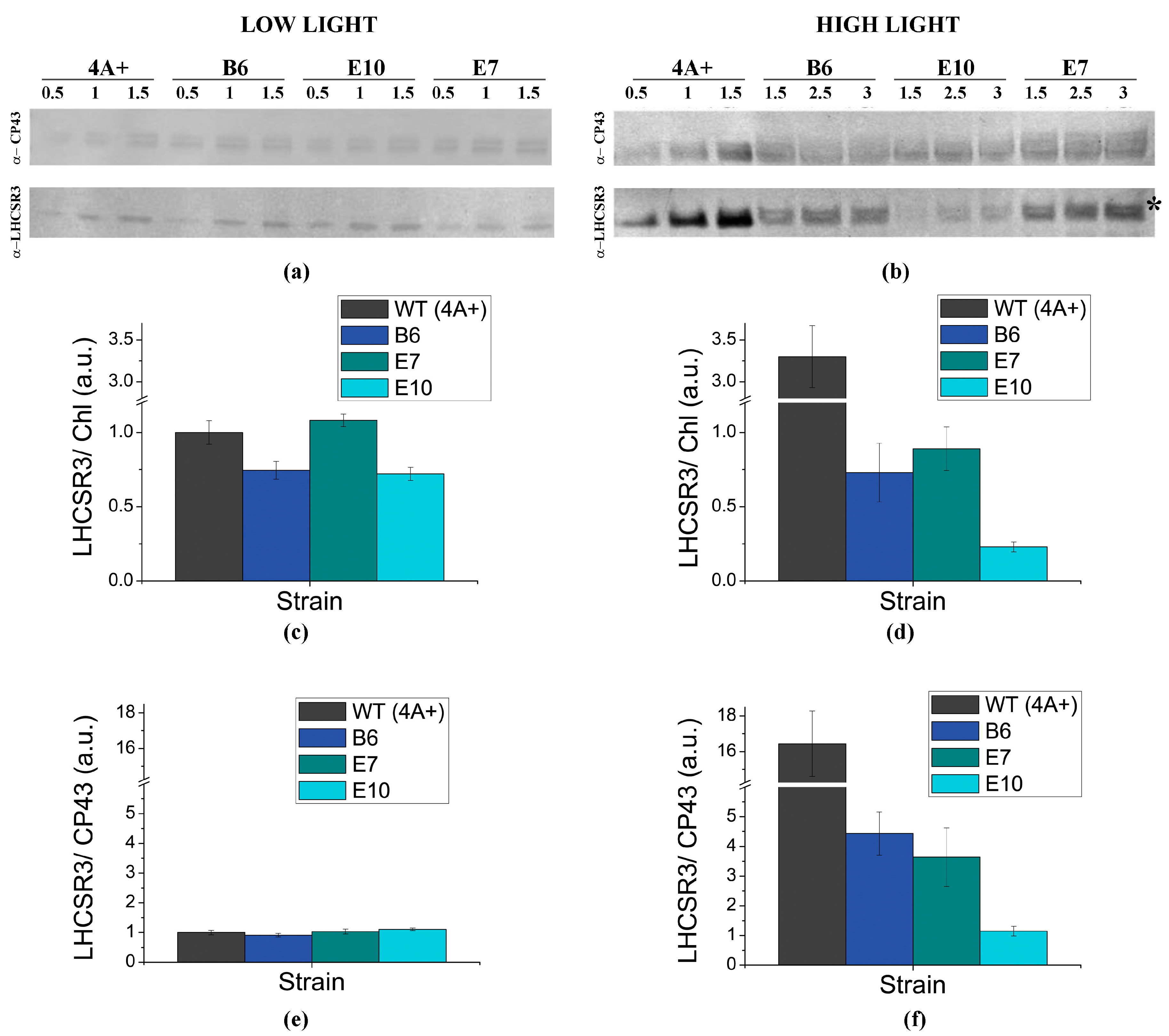 Ijms 19 00155 g002