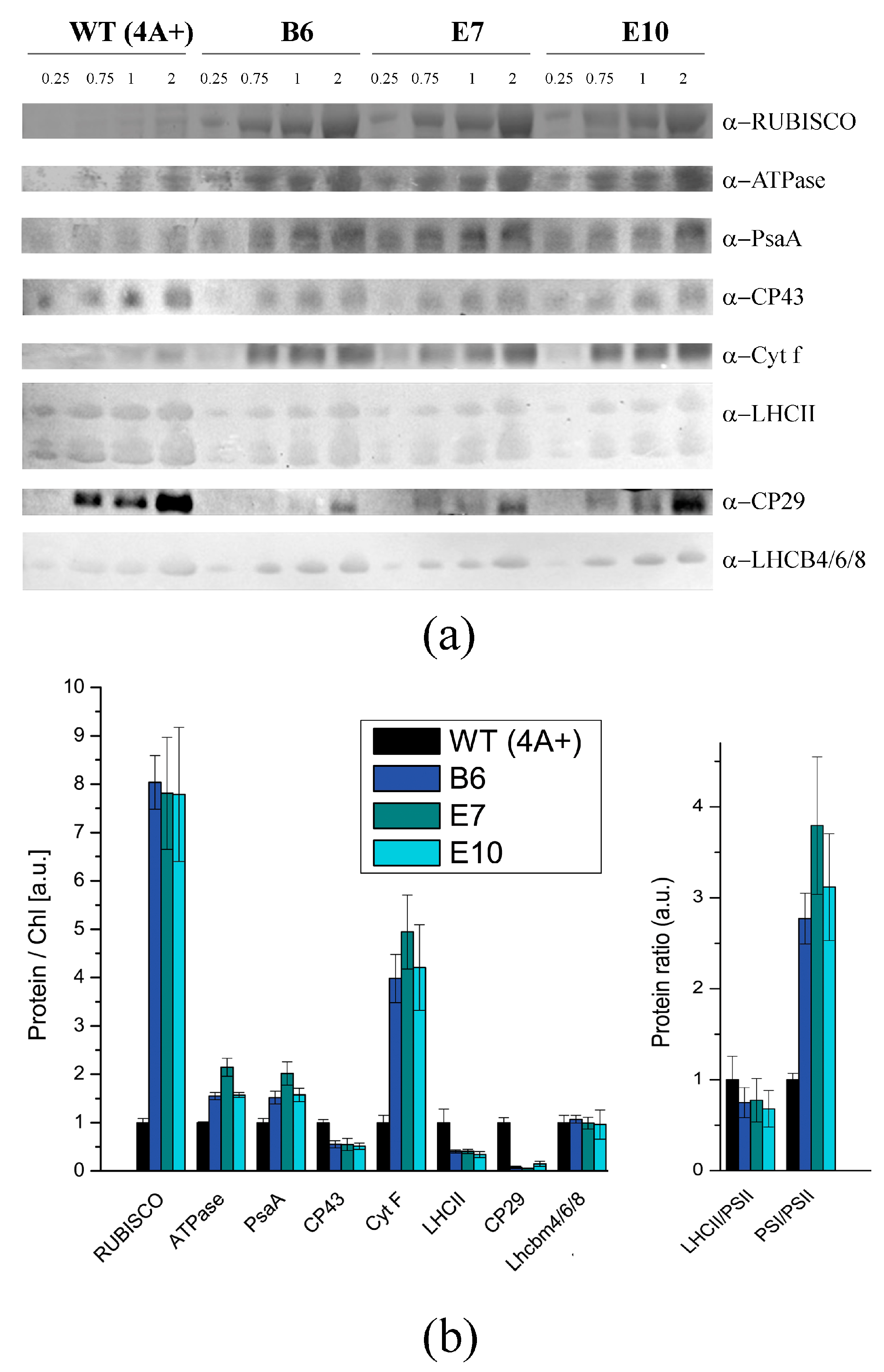 Ijms 19 00155 g004