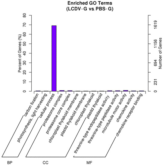IJMS Free FullText Transcriptome Analysis of Flounder (Paralichthys olivaceus) Gill in