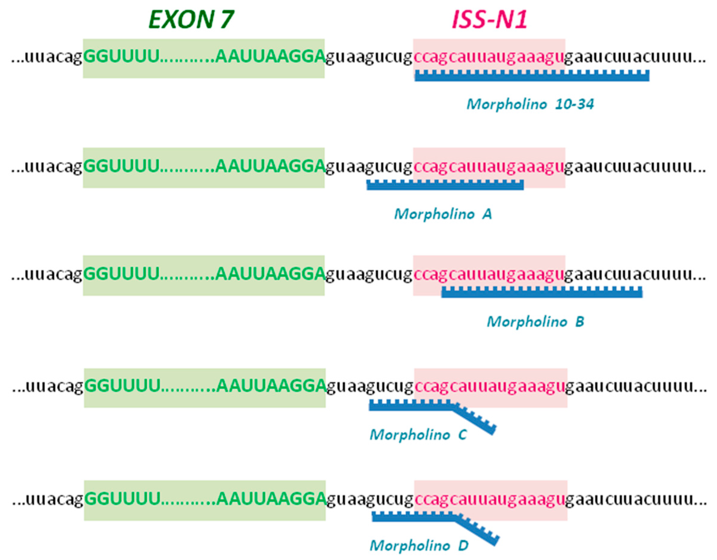 Ijms 19 00167 g001