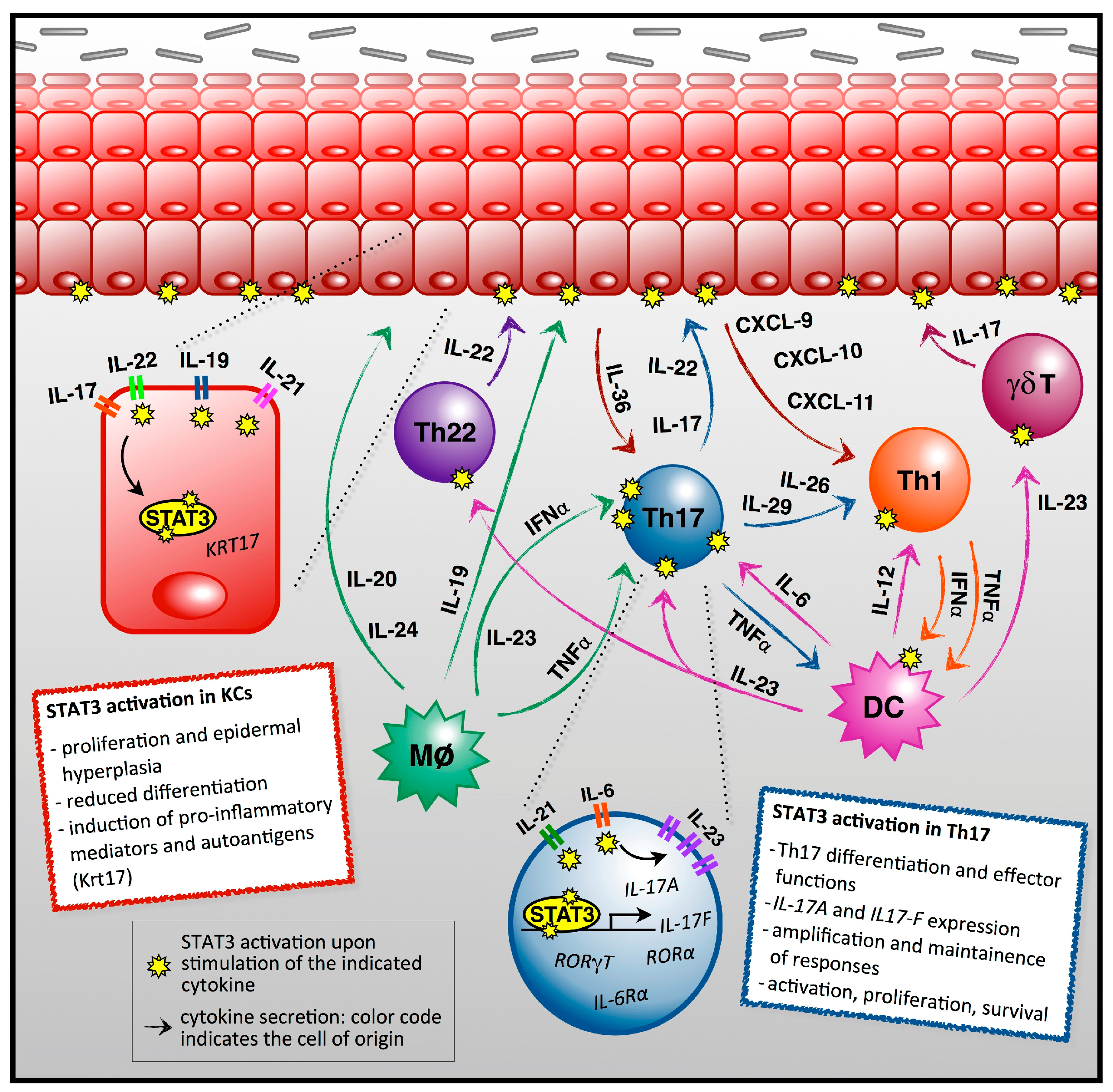 Ijms 19 00171 g001 Ijms 19 00171 g001