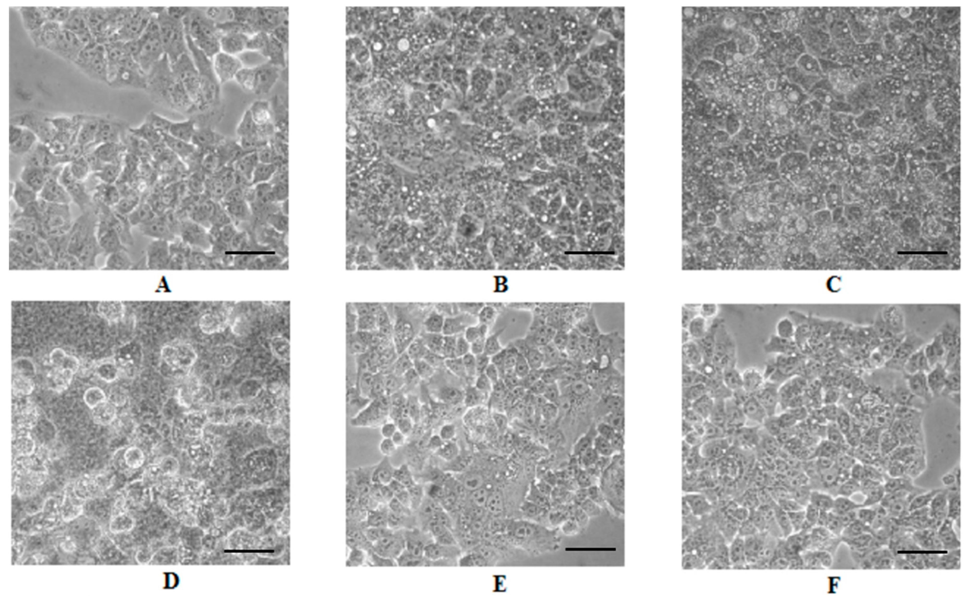 Ijms 19 00186 g003a