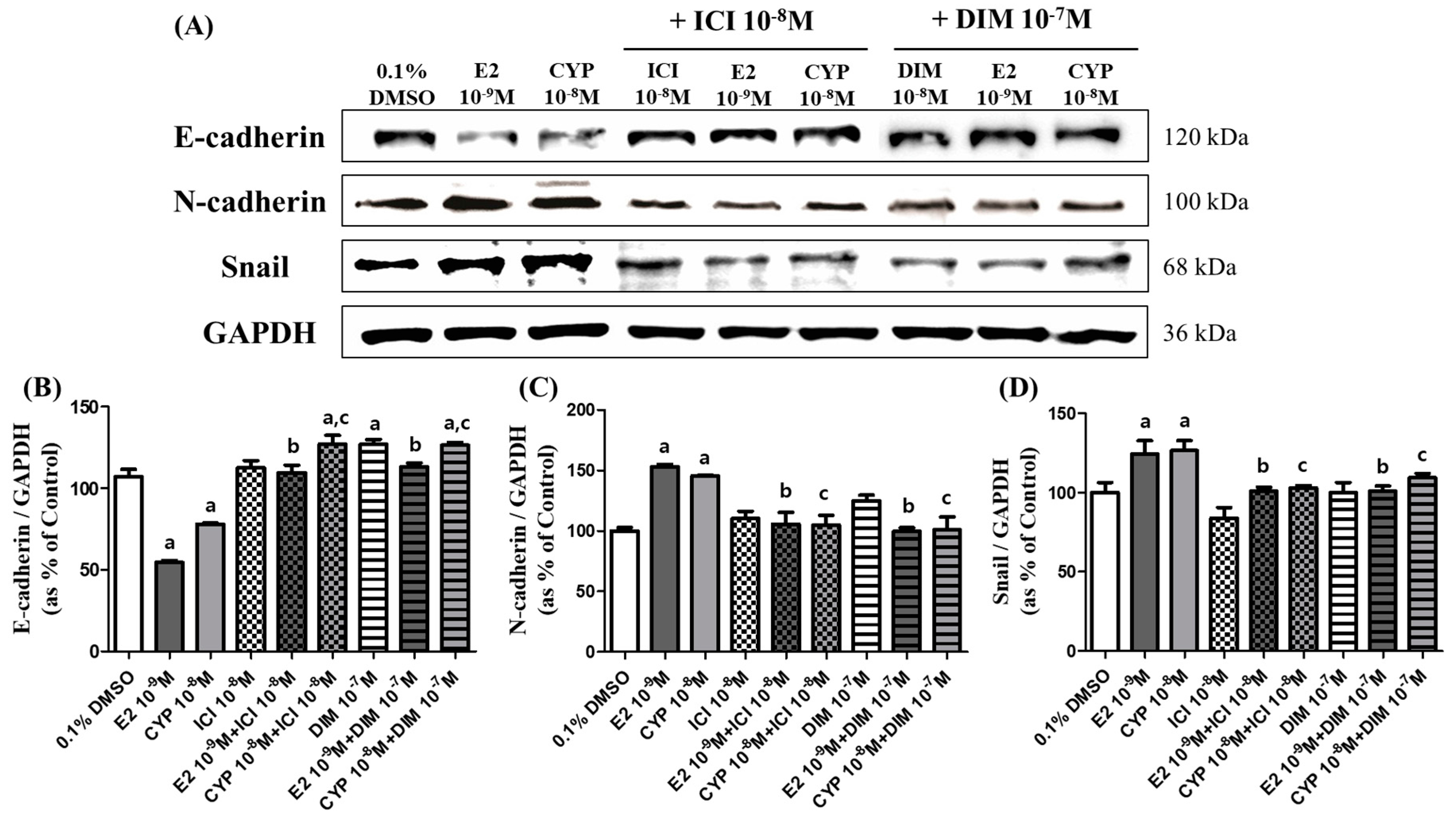Ijms 19 00189 g003
