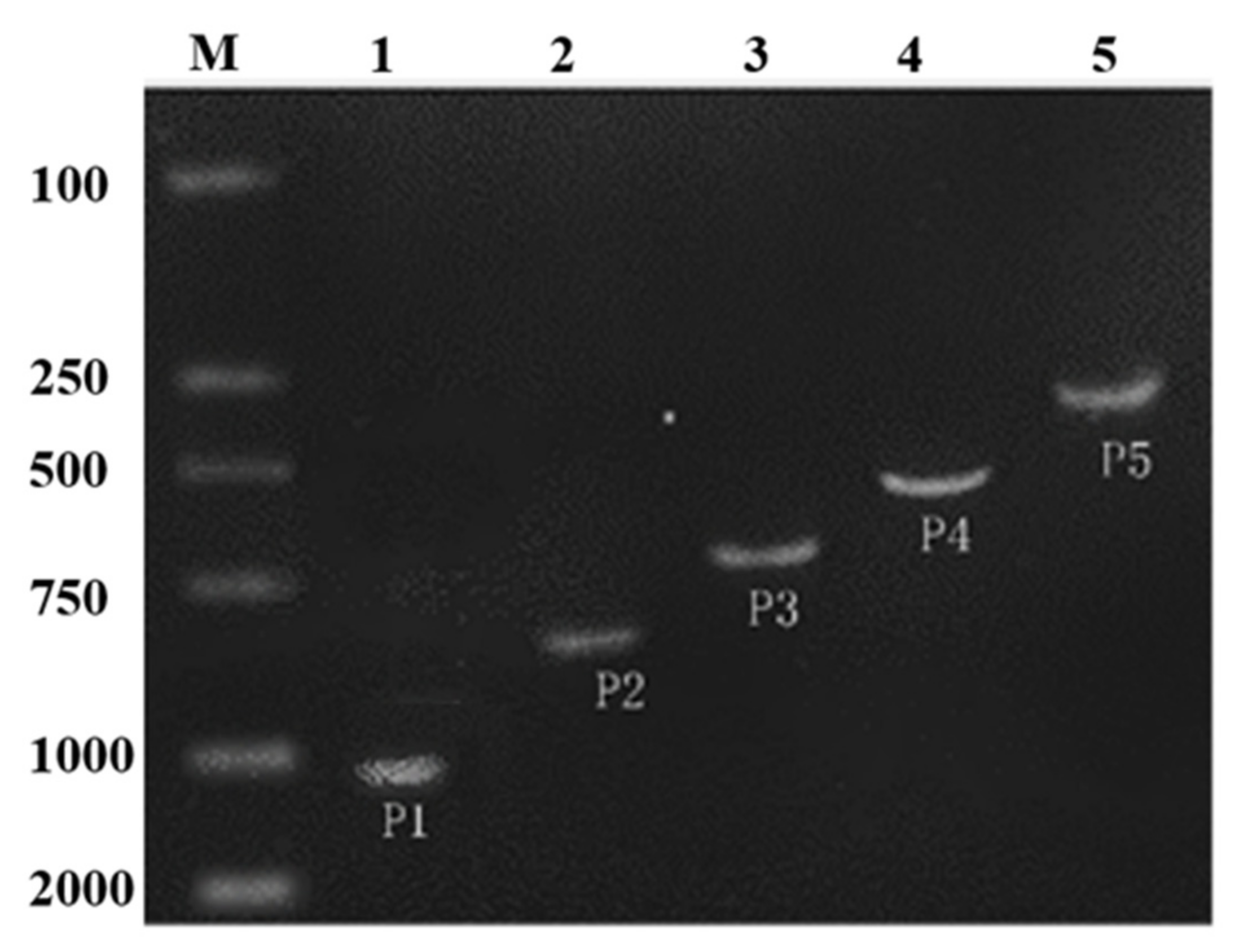 Ijms 19 00191 g002