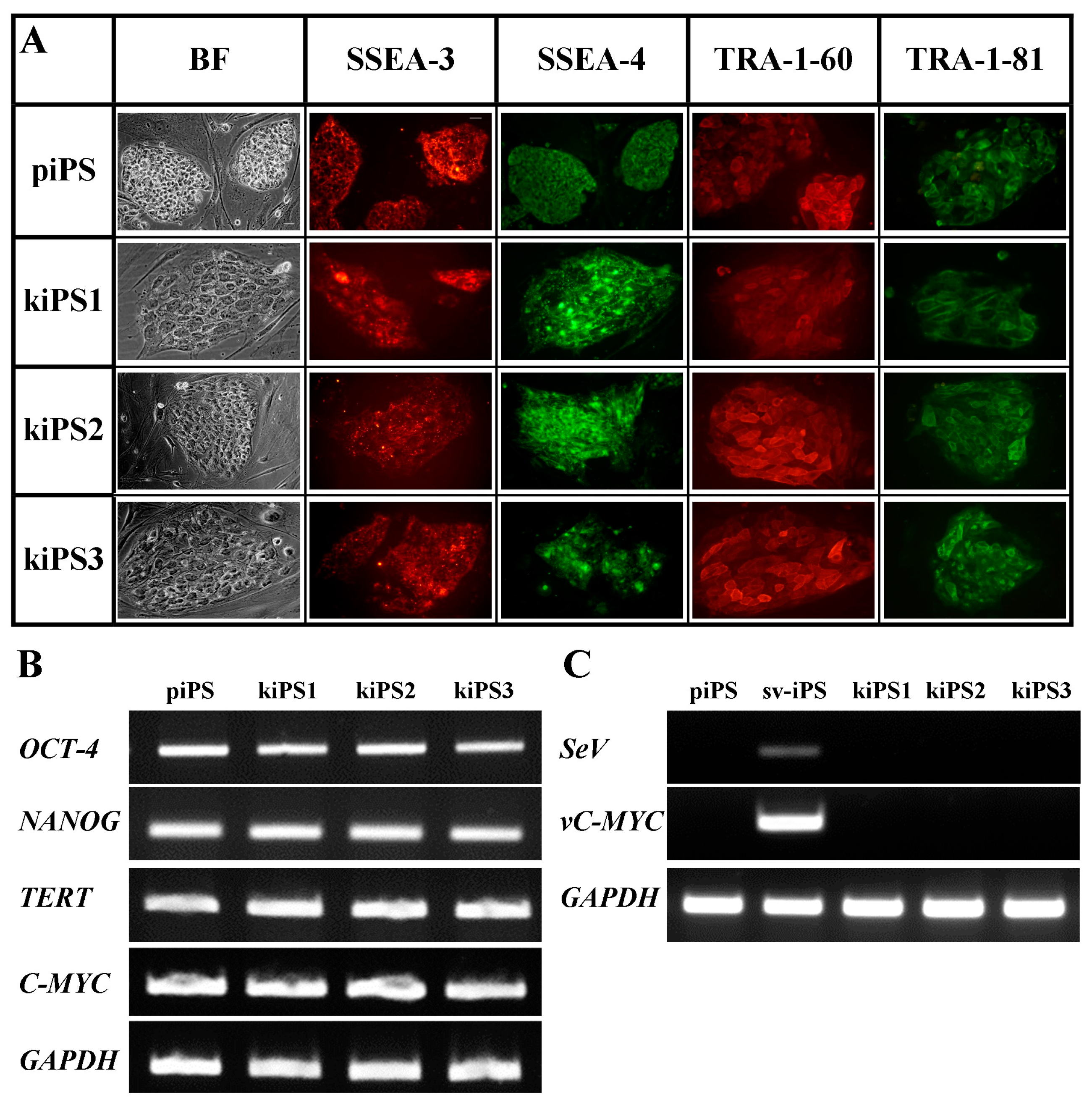 Ijms 19 00197 g002