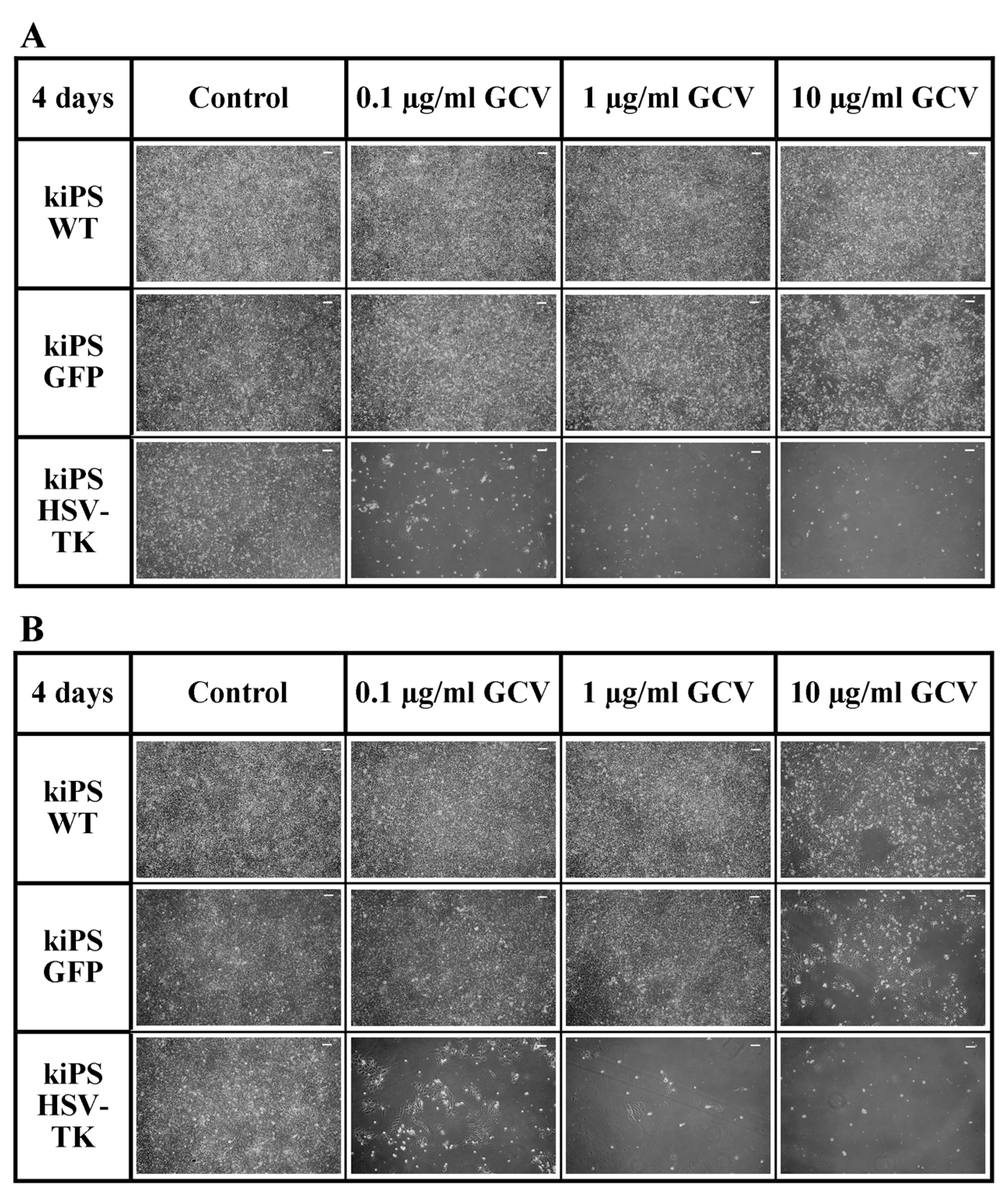 Ijms 19 00197 g005