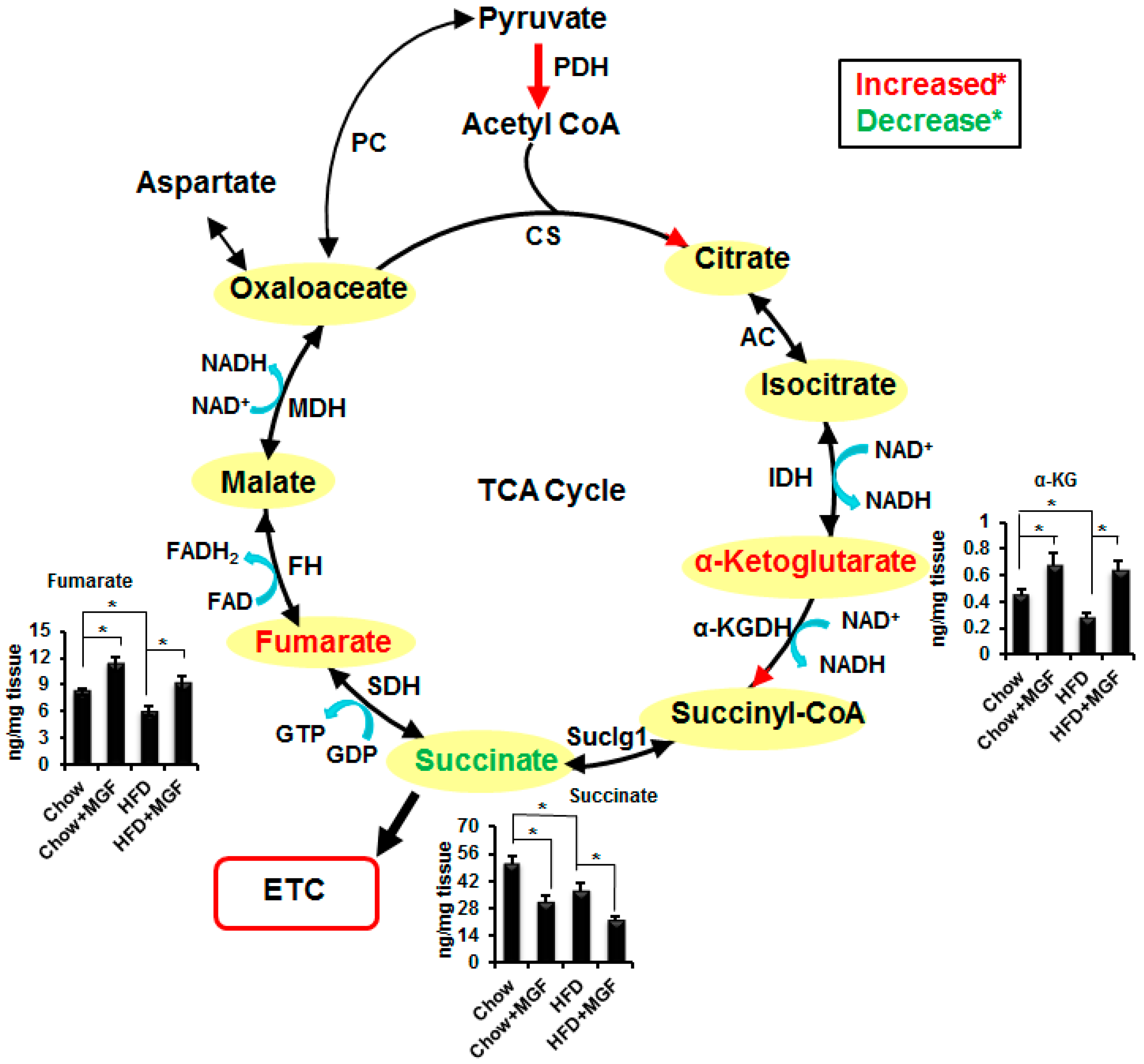 Ijms 19 00201 g003 Ijms 19 00201 g003