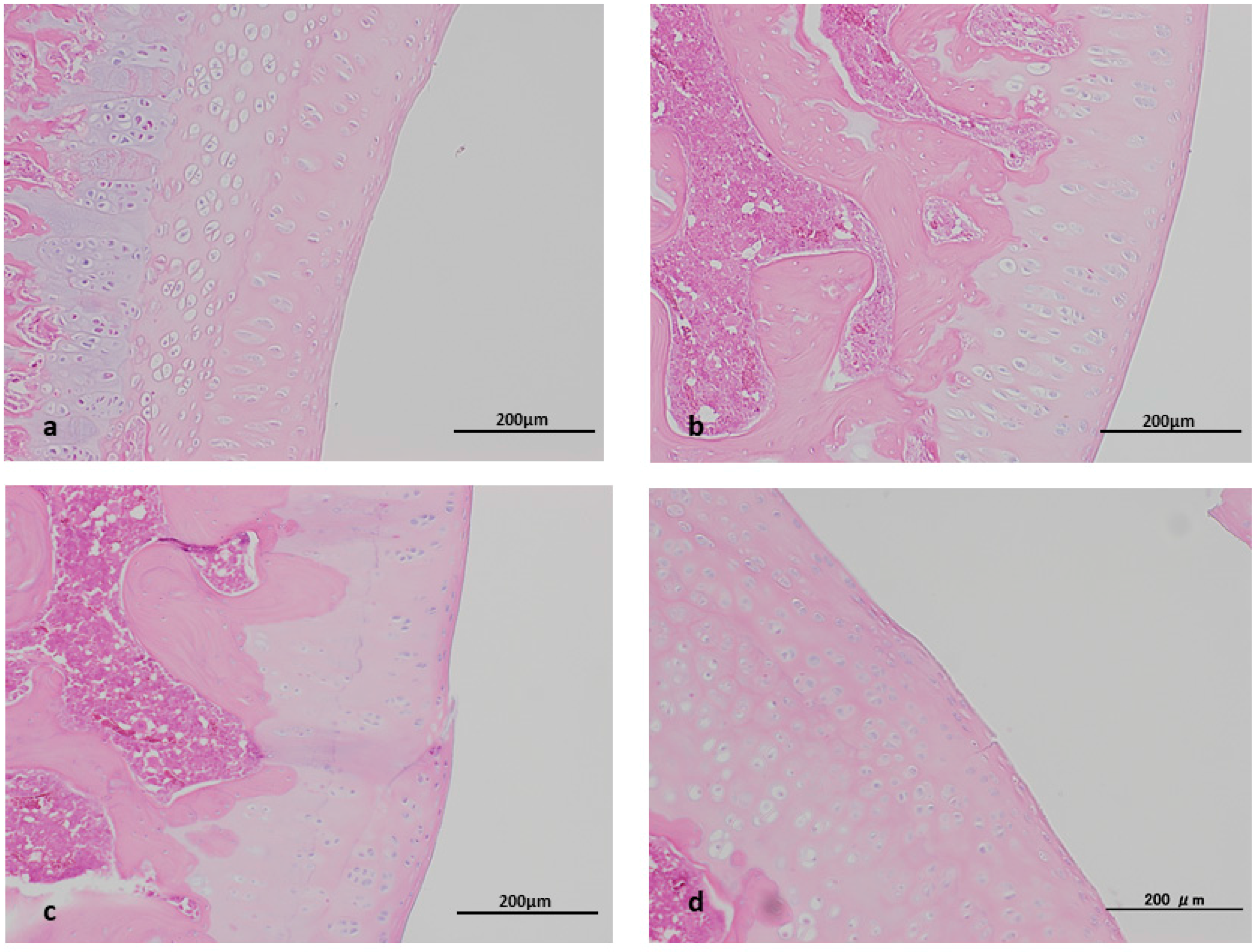 Ijms 19 00203 g002