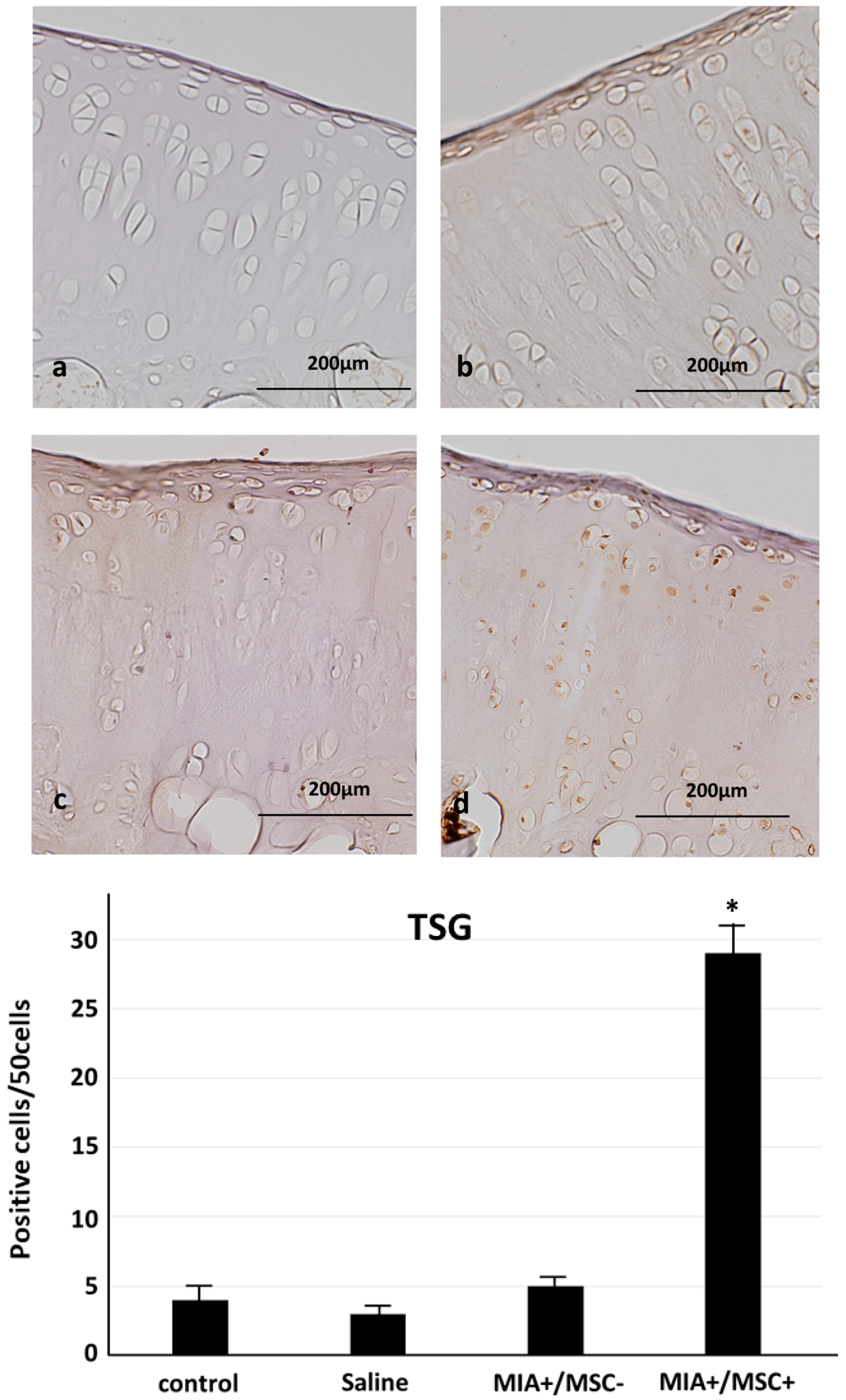 Ijms 19 00203 g003