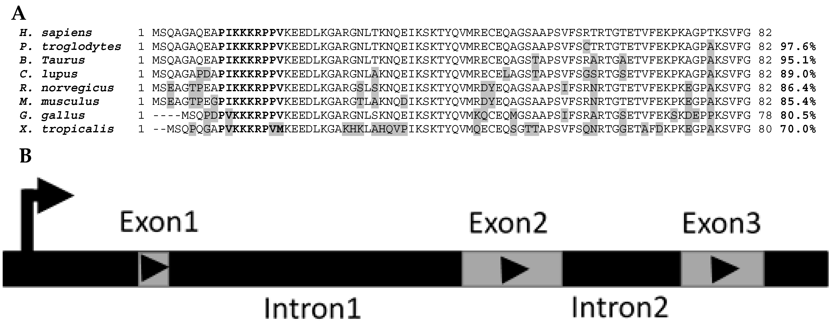 Ijms 19 00206 g002