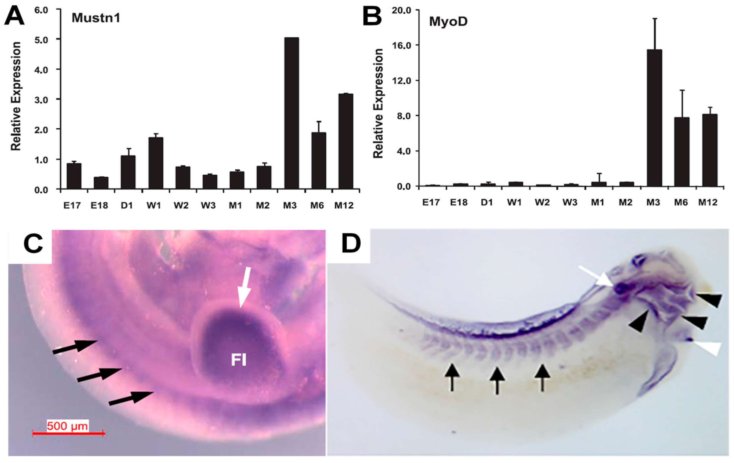 Ijms 19 00206 g004