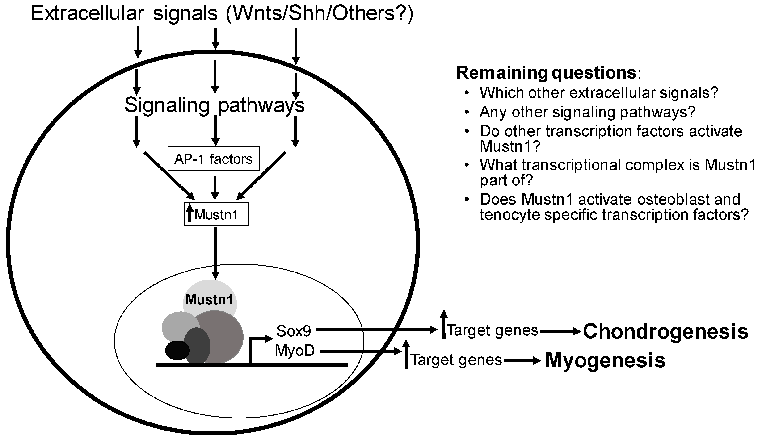Ijms 19 00206 g009