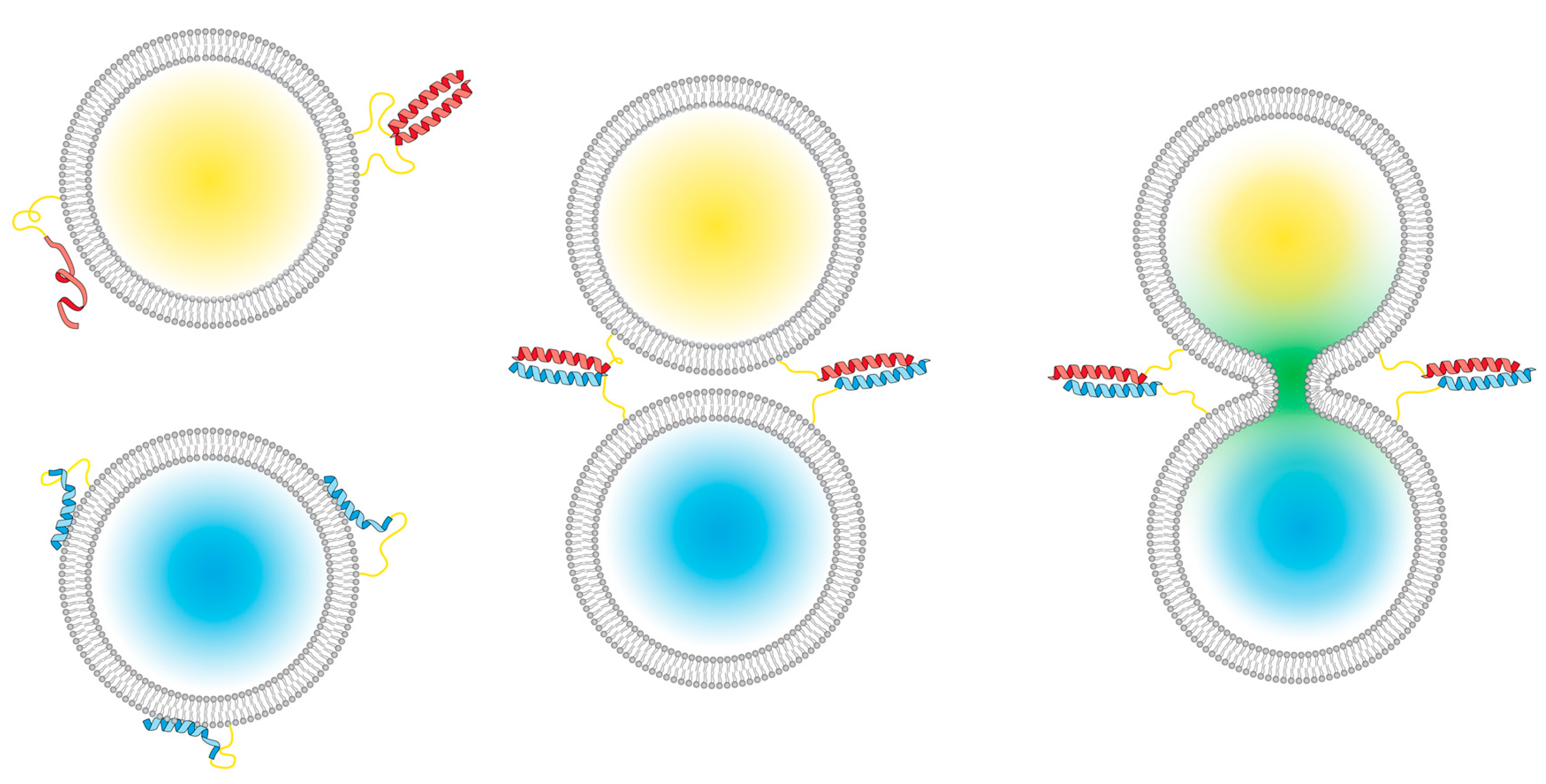 Ijms 19 00211 sch001 550