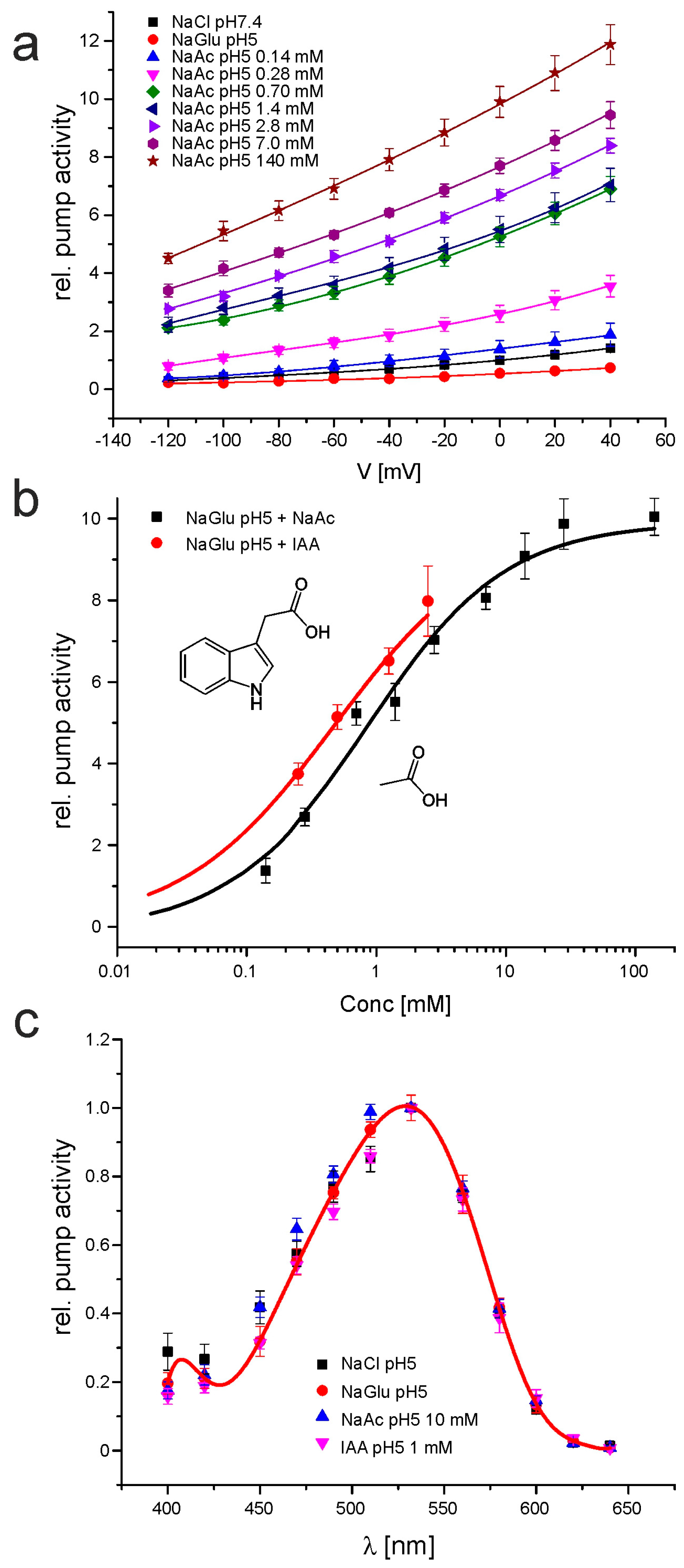 Ijms 19 00215 g002 Ijms 19 00215 g002