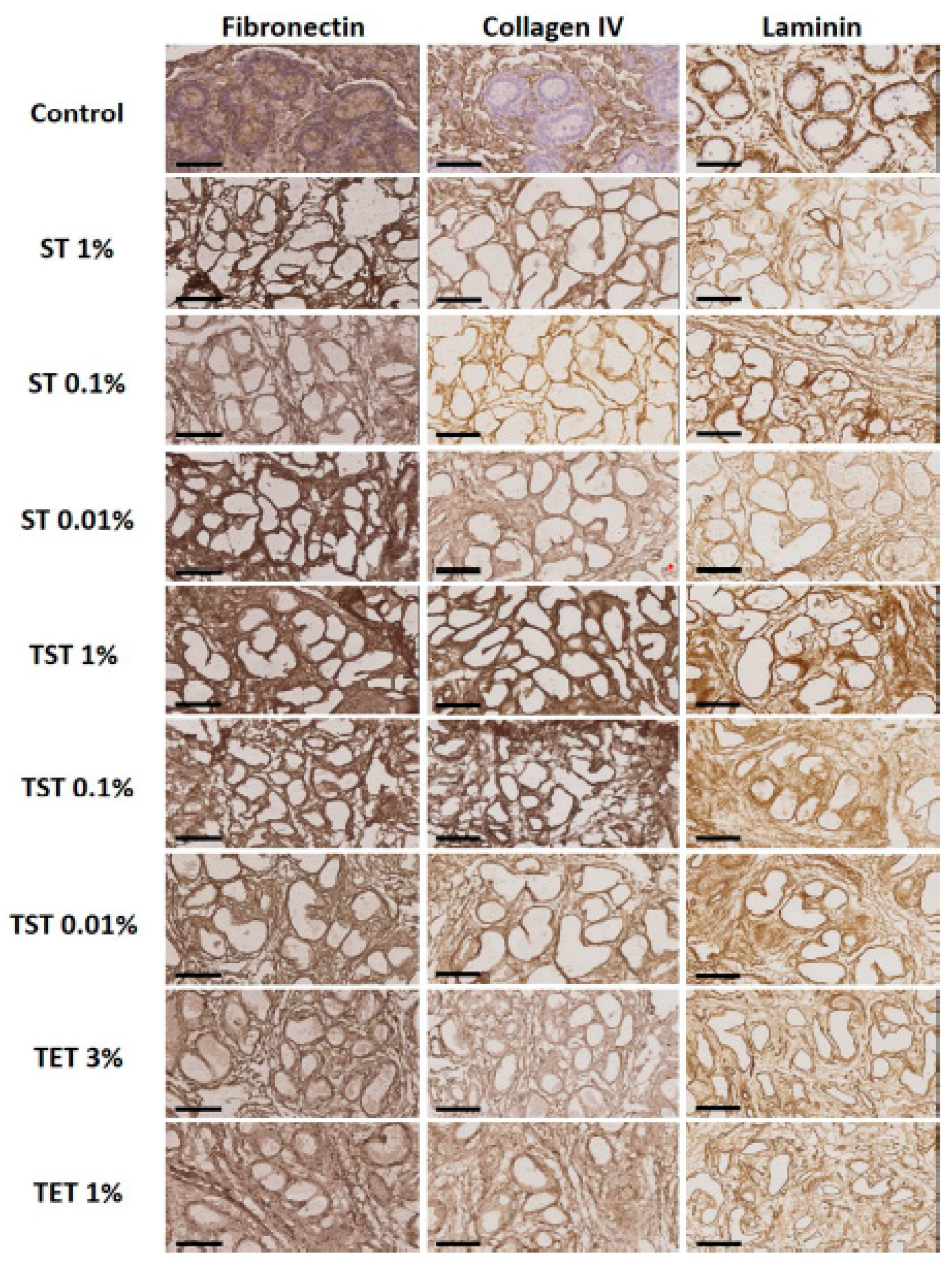 Ijms 19 00227 g004