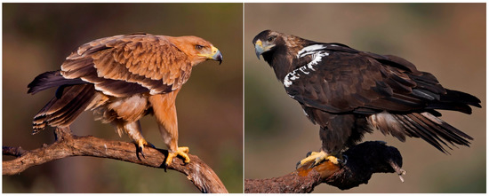 Ijms February 2018 Browse Articles