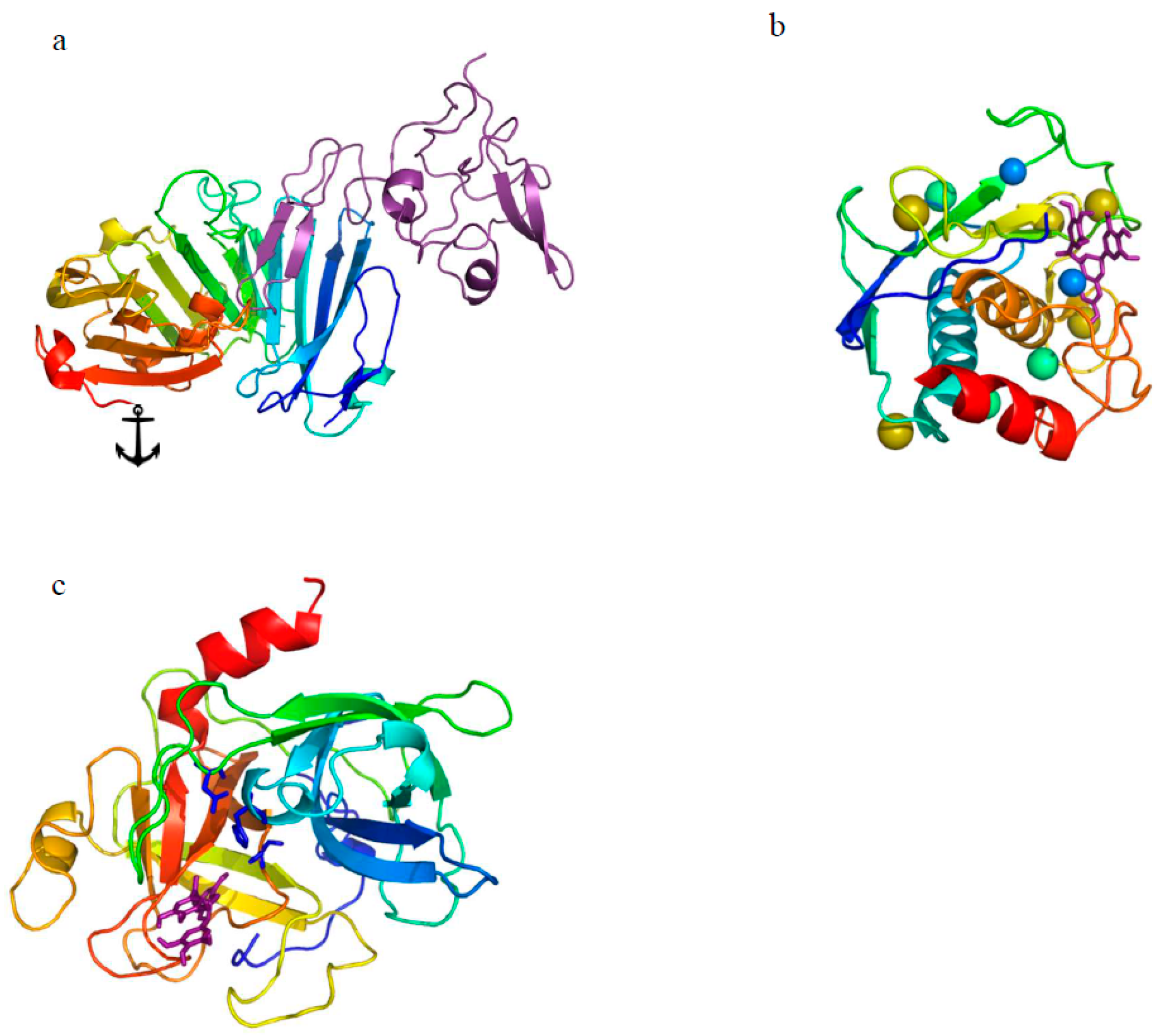 Ijms 19 00248 g001 Ijms 19 00248 g001